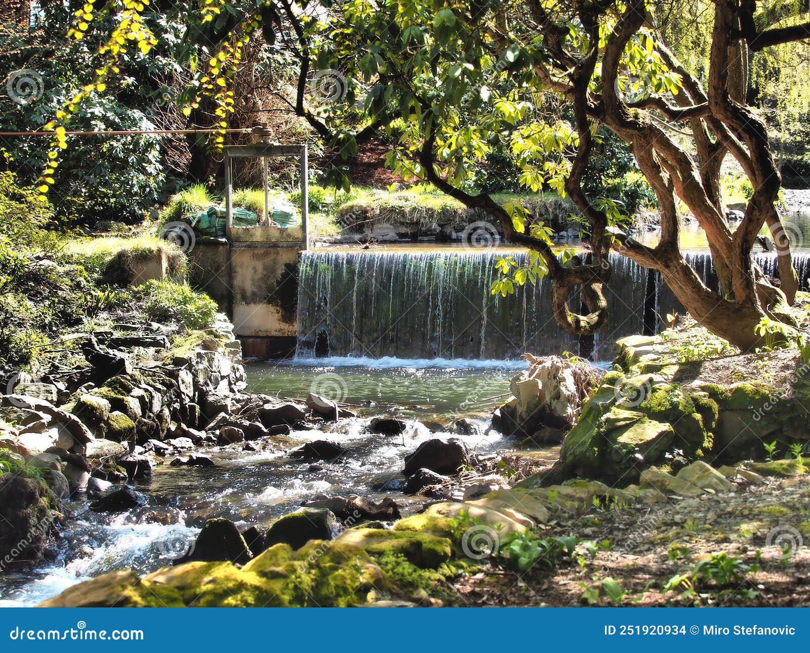 beautiful waterfall in the forest in the national park with an interesting background