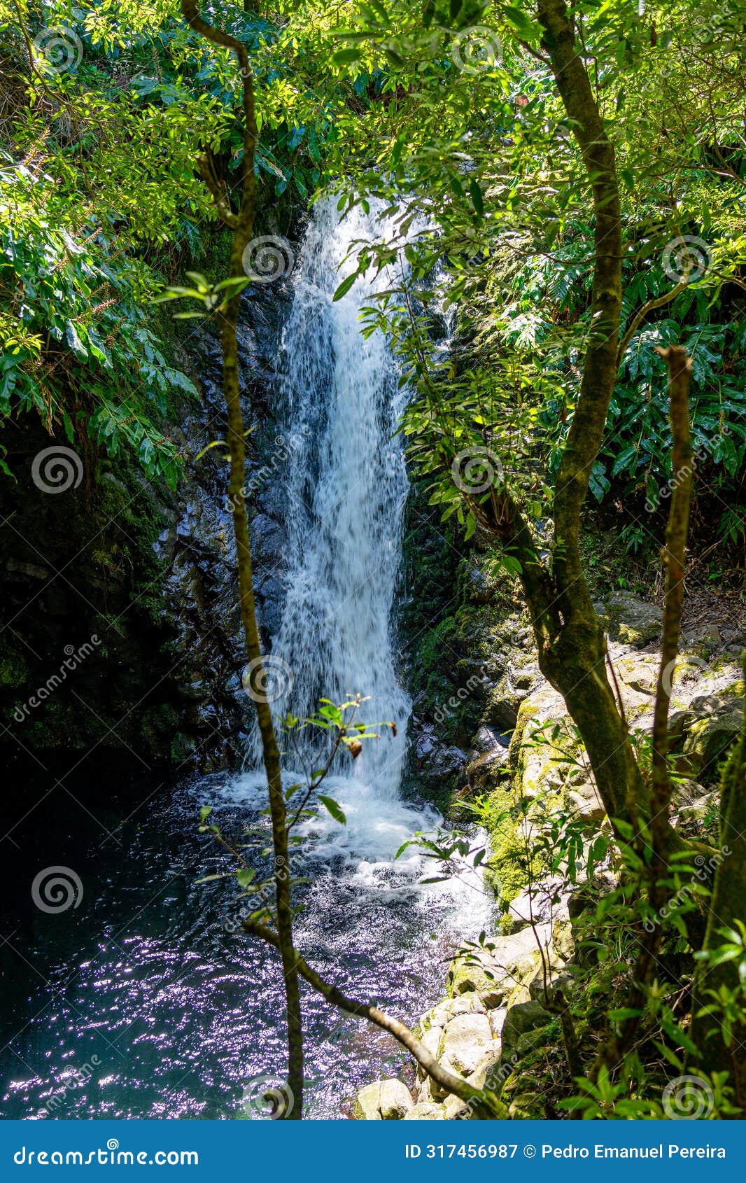 beautiful waterfall on the pr1 route towards the caldera of fajÃ£ de santo cristo and fajÃ£ dos cubres.