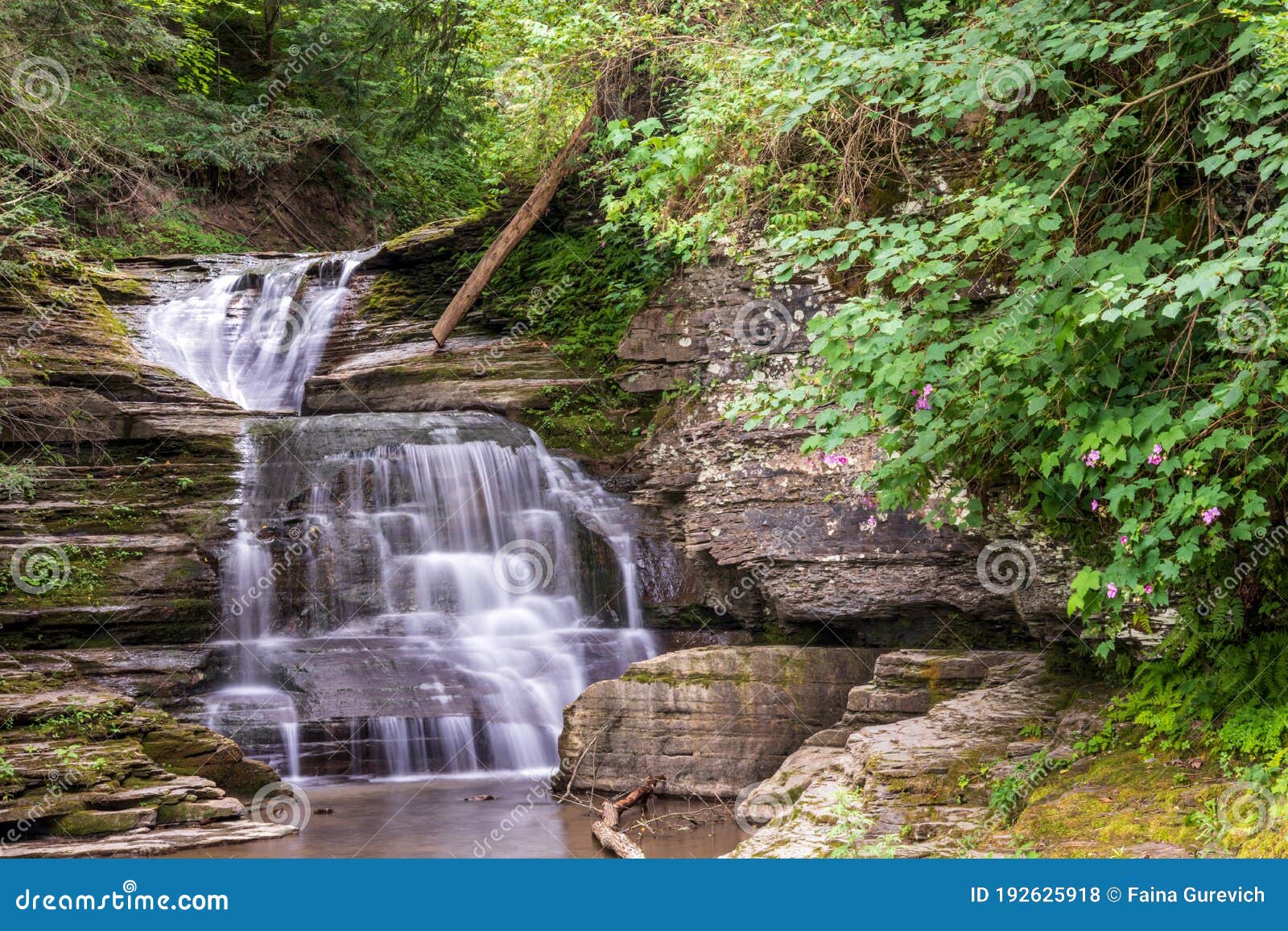 beautiful waterfall in robert h. treman state park, ithaca, ny.