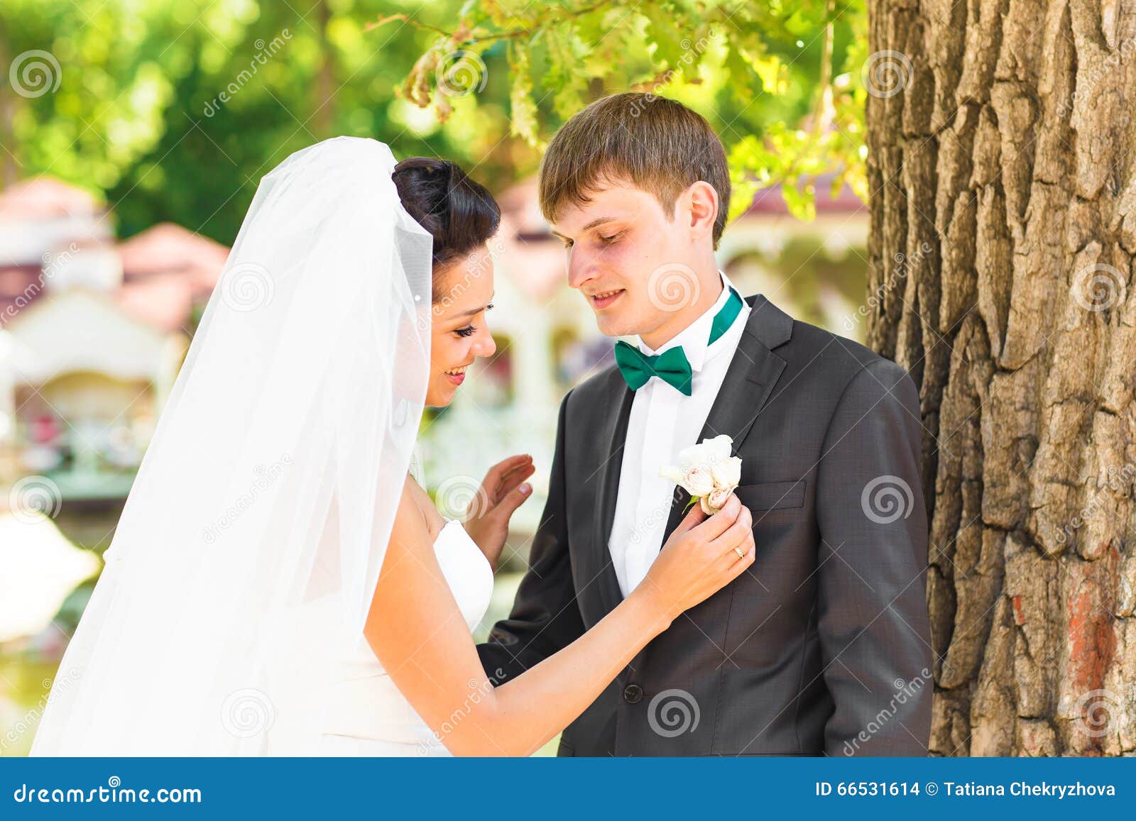 Beautiful Wedding Husband And Wife Lovers Man Woman Bride And Groom Beautiful Wedding Husband And Wife Lovers Man Woman Bride And Groom