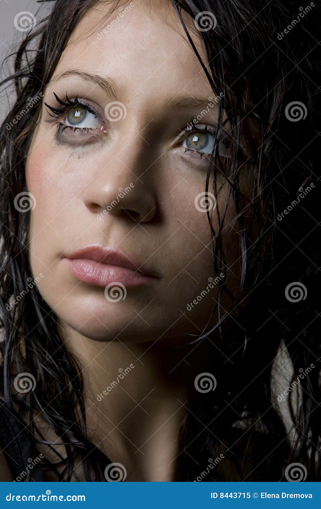 Beautiful Wet Brunette Stock Image Image Of Gray Glamour 8443715 