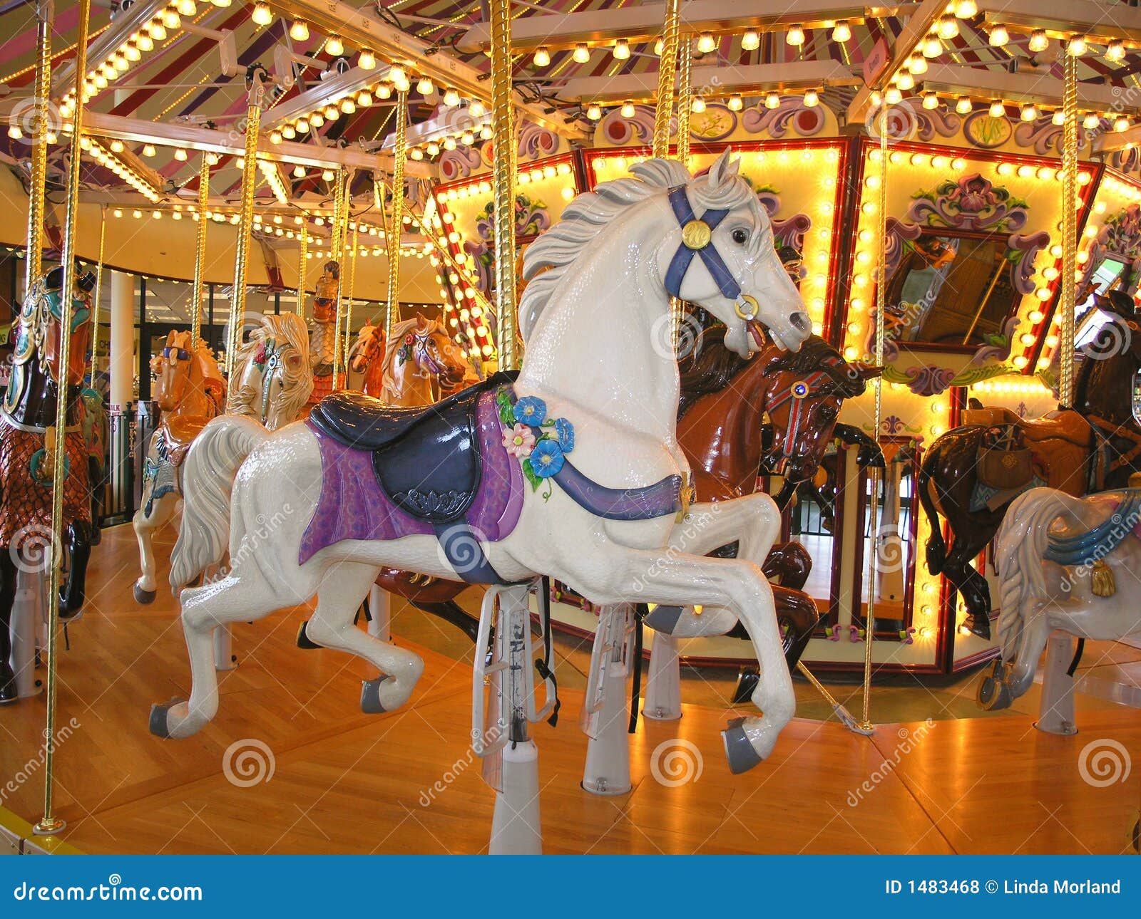 blød Erhvervelse Dem 456 Fantasy Carousel Photos - Free & Royalty-Free Stock Photos from  Dreamstime