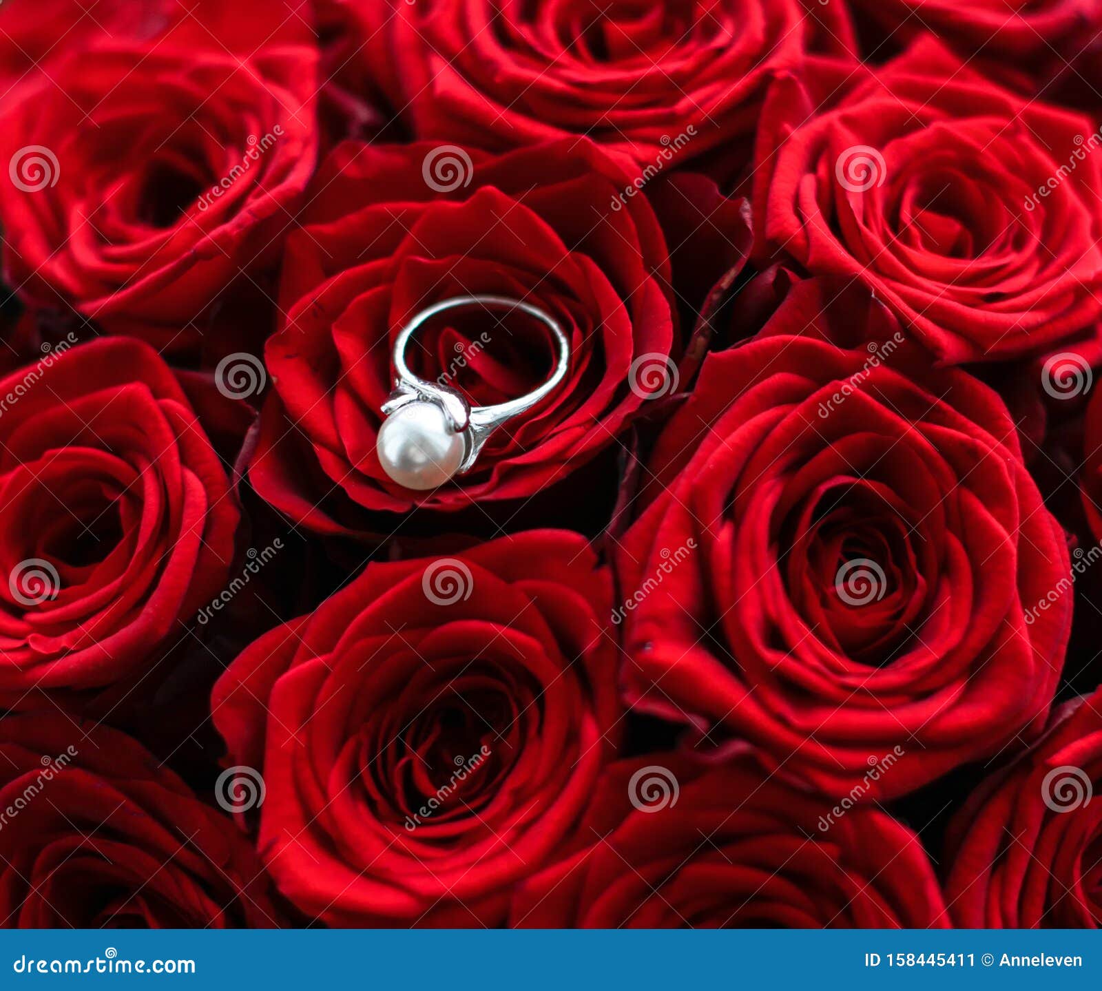 Beautiful White Gold Pearl Ring and Bouquet of Red Roses, Luxury ...