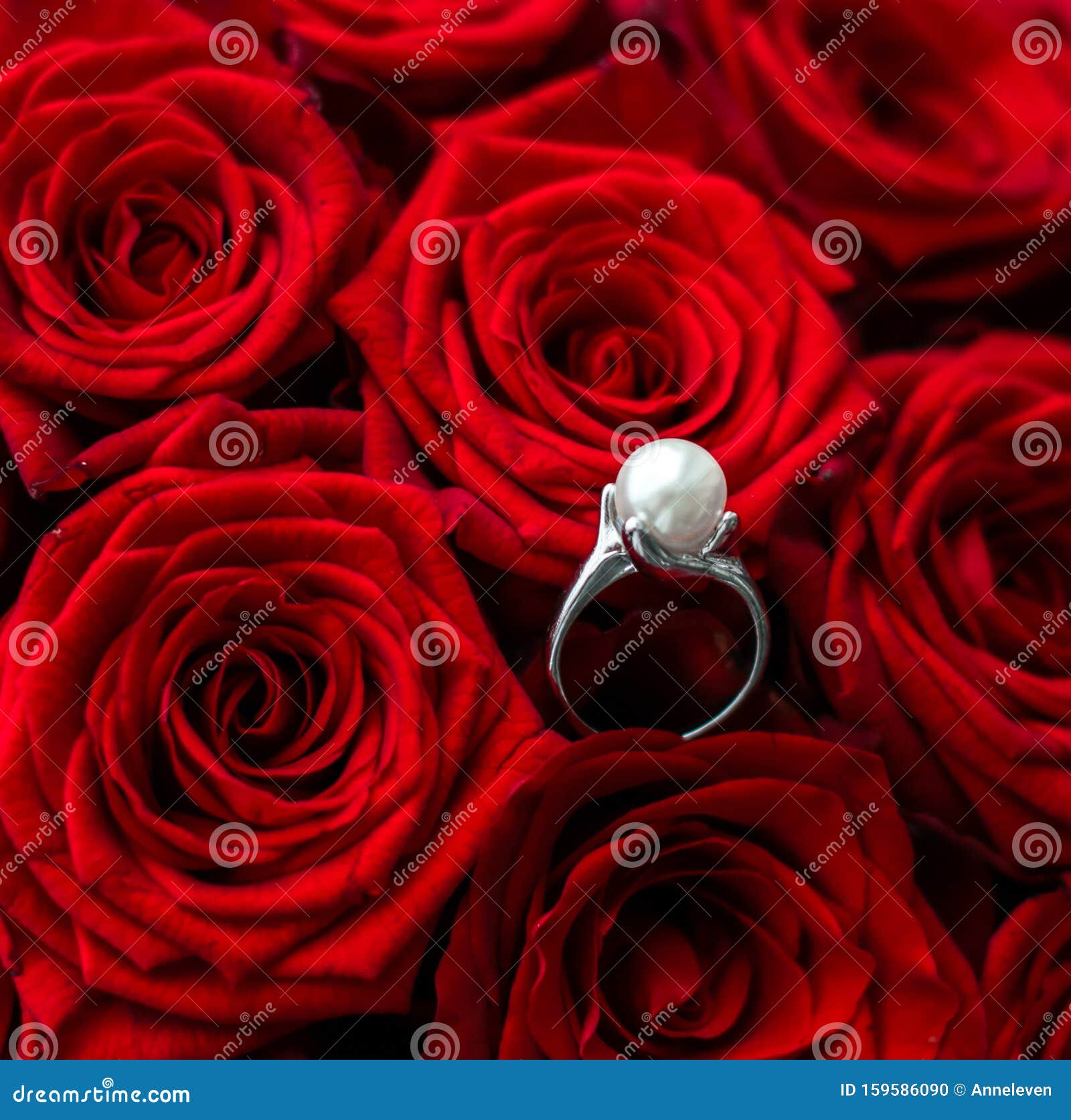 Beautiful White Gold Pearl Ring and Bouquet of Red Roses, Luxury ...