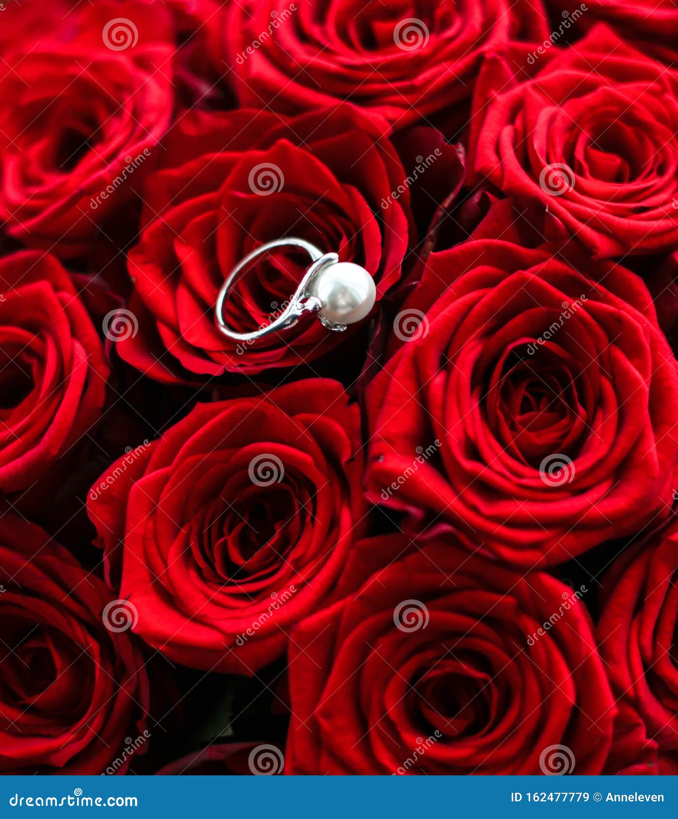 Beautiful White Gold Pearl Ring and Bouquet of Red Roses, Luxury ...