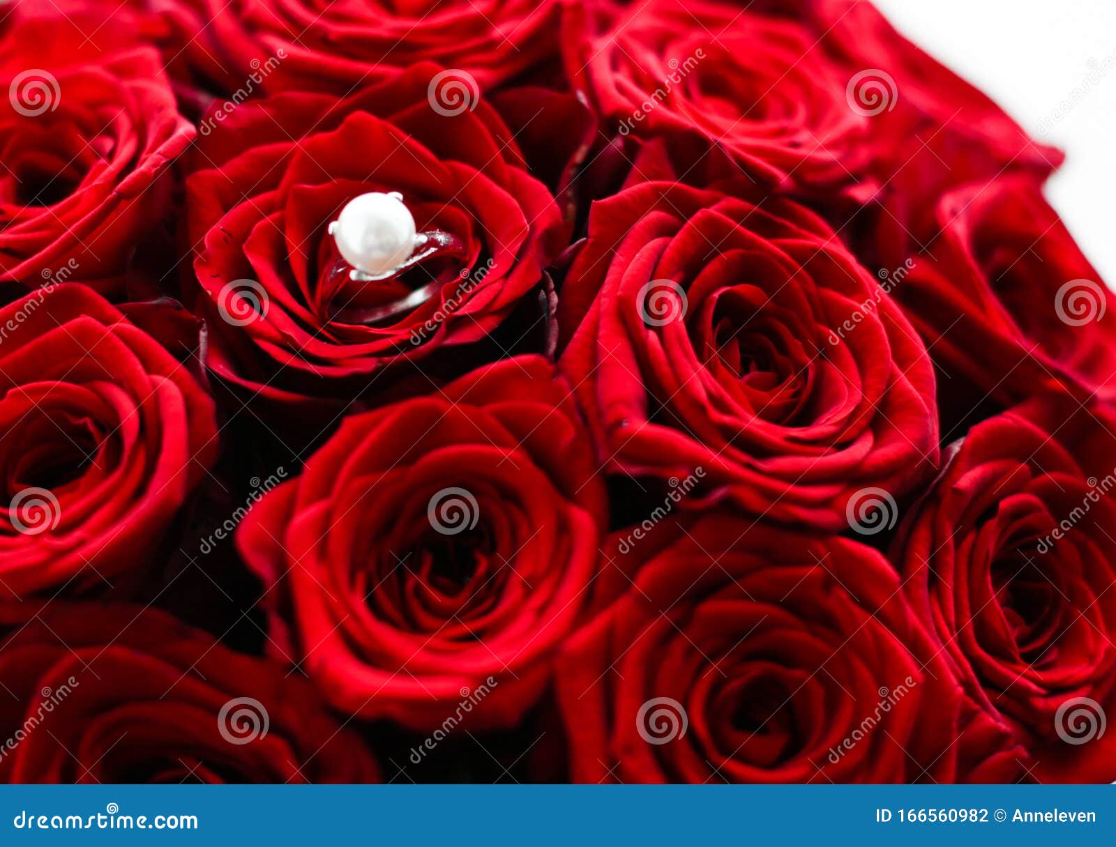 Beautiful White Gold Pearl Ring and Bouquet of Red Roses, Luxury ...