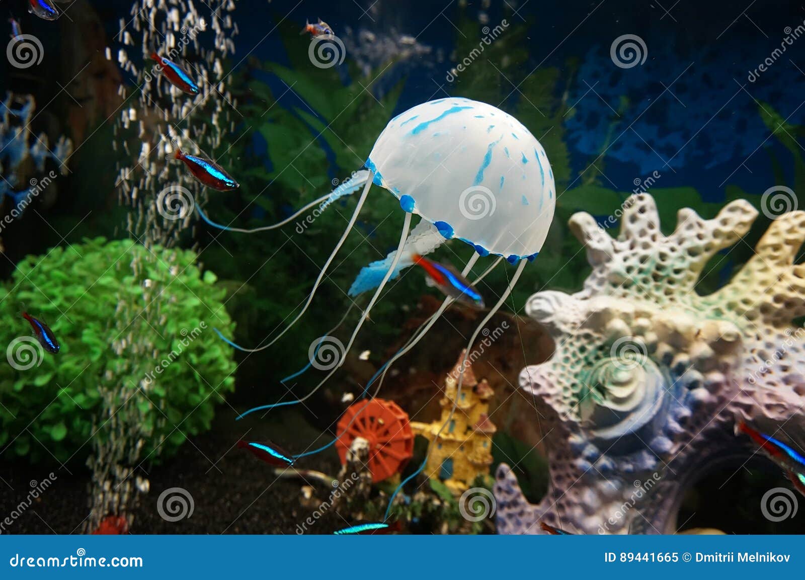 beautiful white jellyfish in the water on blue background