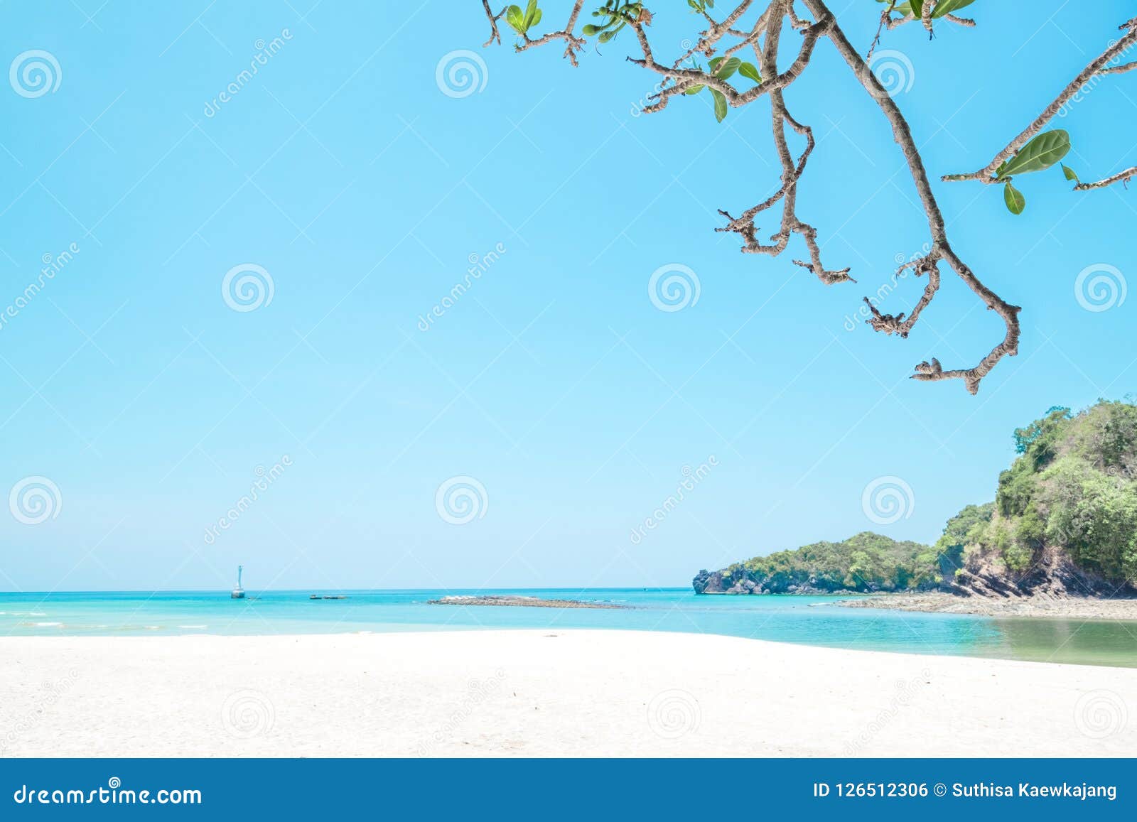 beautiful white sand beach and tree with island in summer time