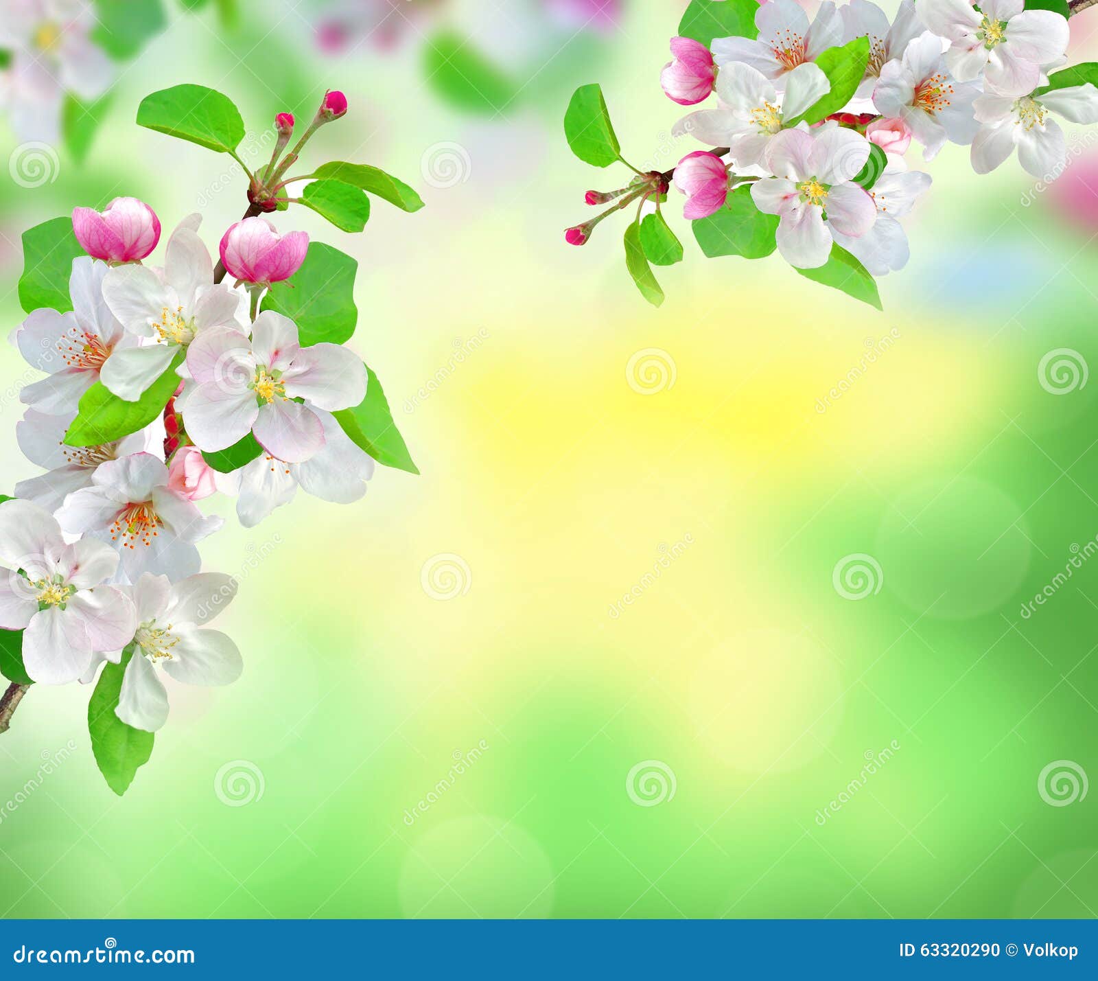 Beautiful White Spring Blossom On Blurred Nature Background Stock