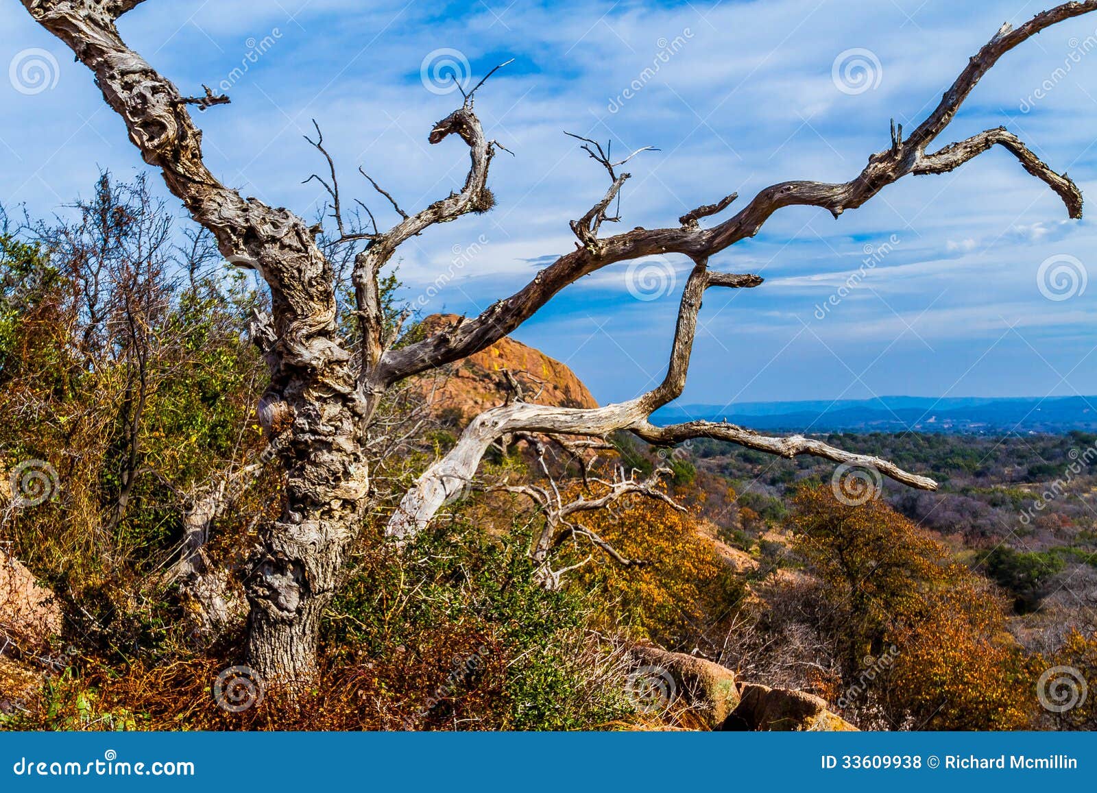 a beautiful wild western view with a gnarly dead tree, a view of turkey peak on enchanted rock, texas.