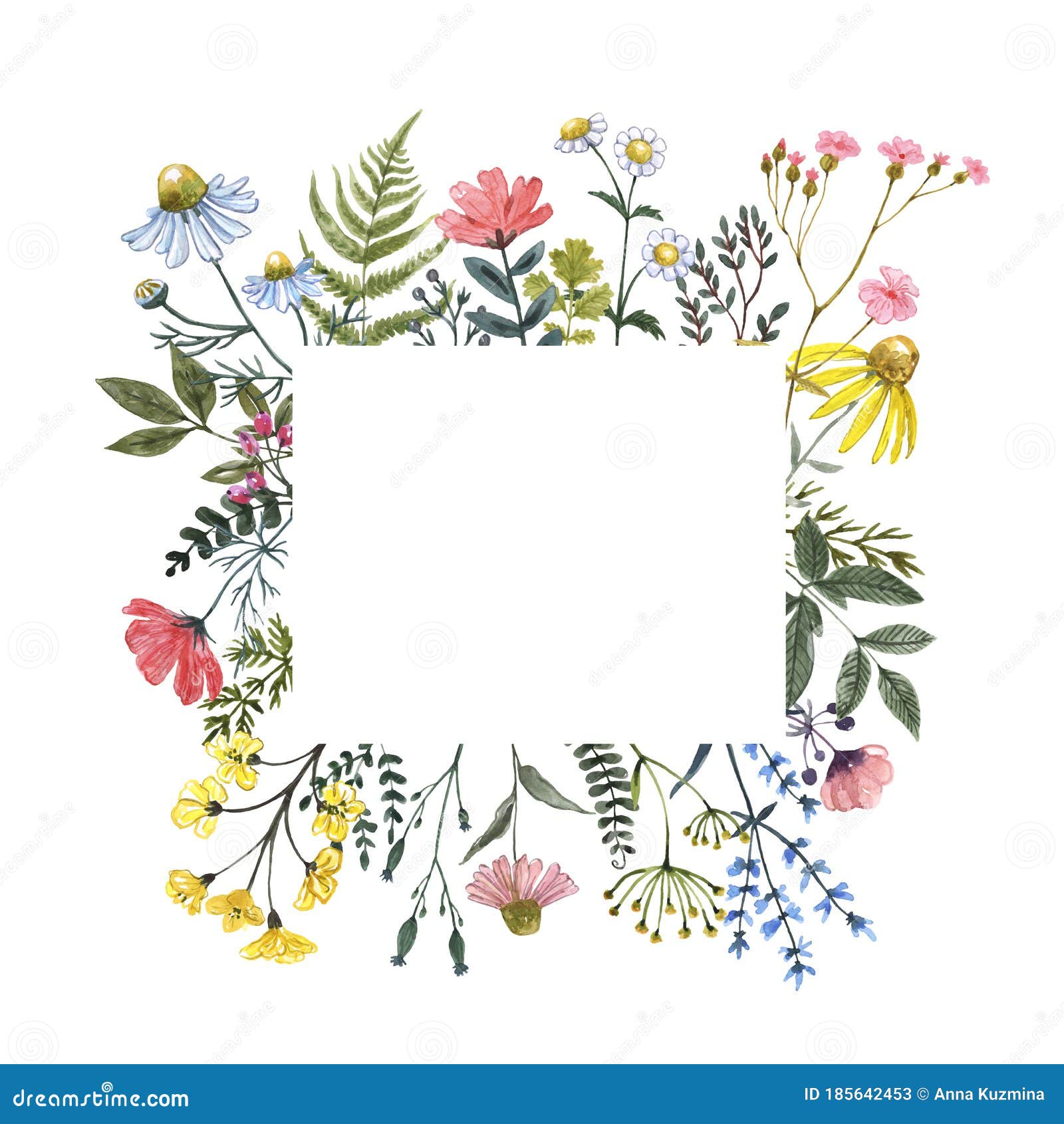 beautiful wildflower border with hand painted summer meadow flowers, herbs, grass, leaves,  on white background.