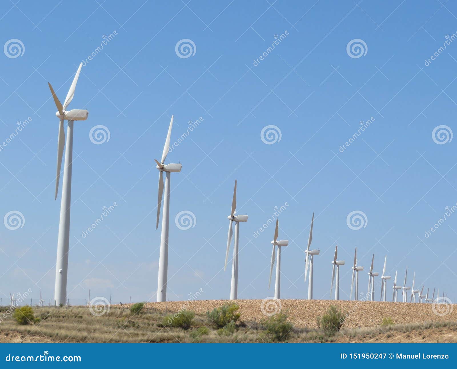 beautiful wind turbines ready to convert the air the energy