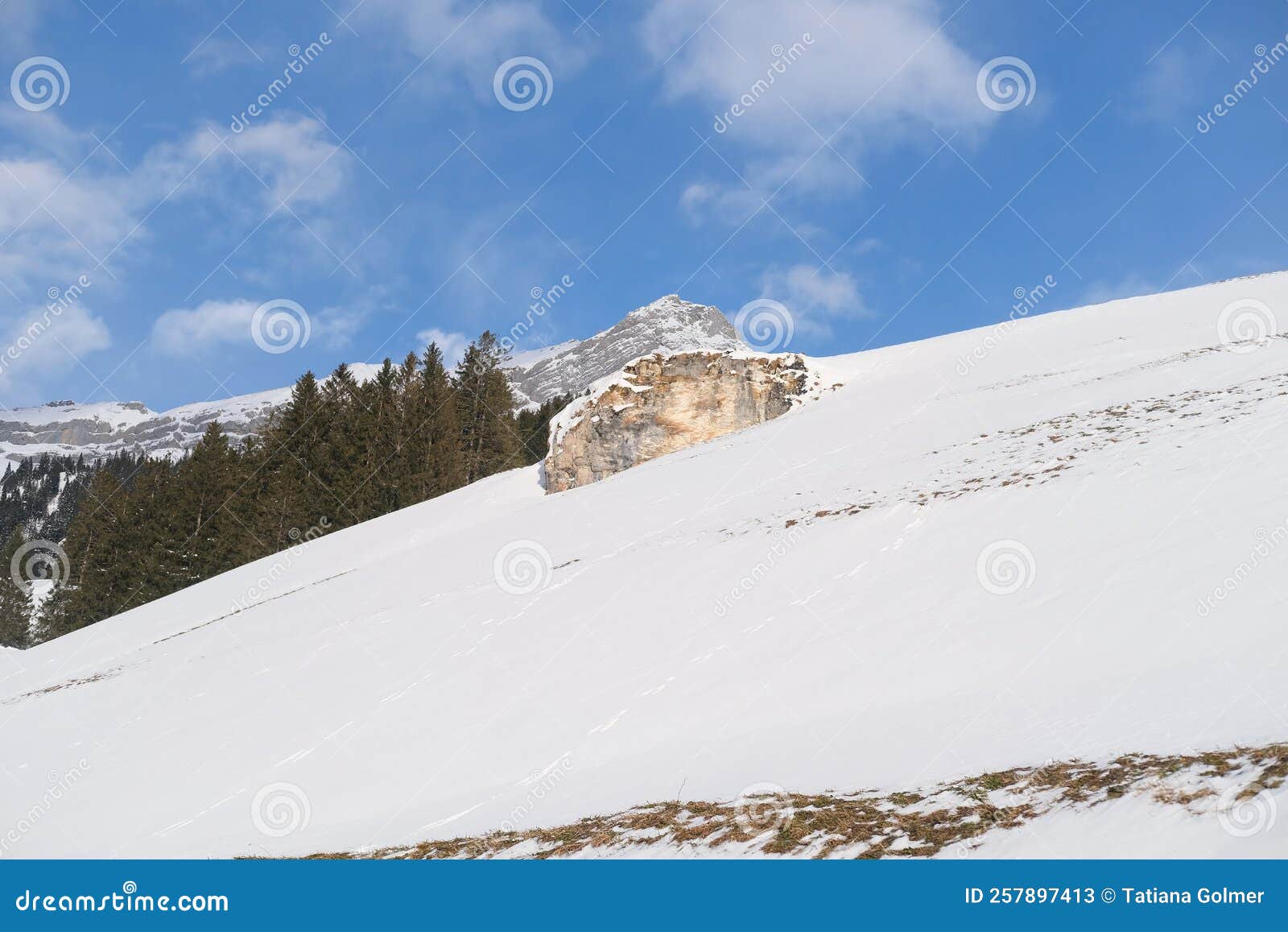 Beautiful Winter Landscape Snow Covered Trees Mountainpass Snowfall In The Mountains Swiss Beautiful Winter Landscape Snow Covered Trees Mountainpass Snowfall In The Mountains Swiss