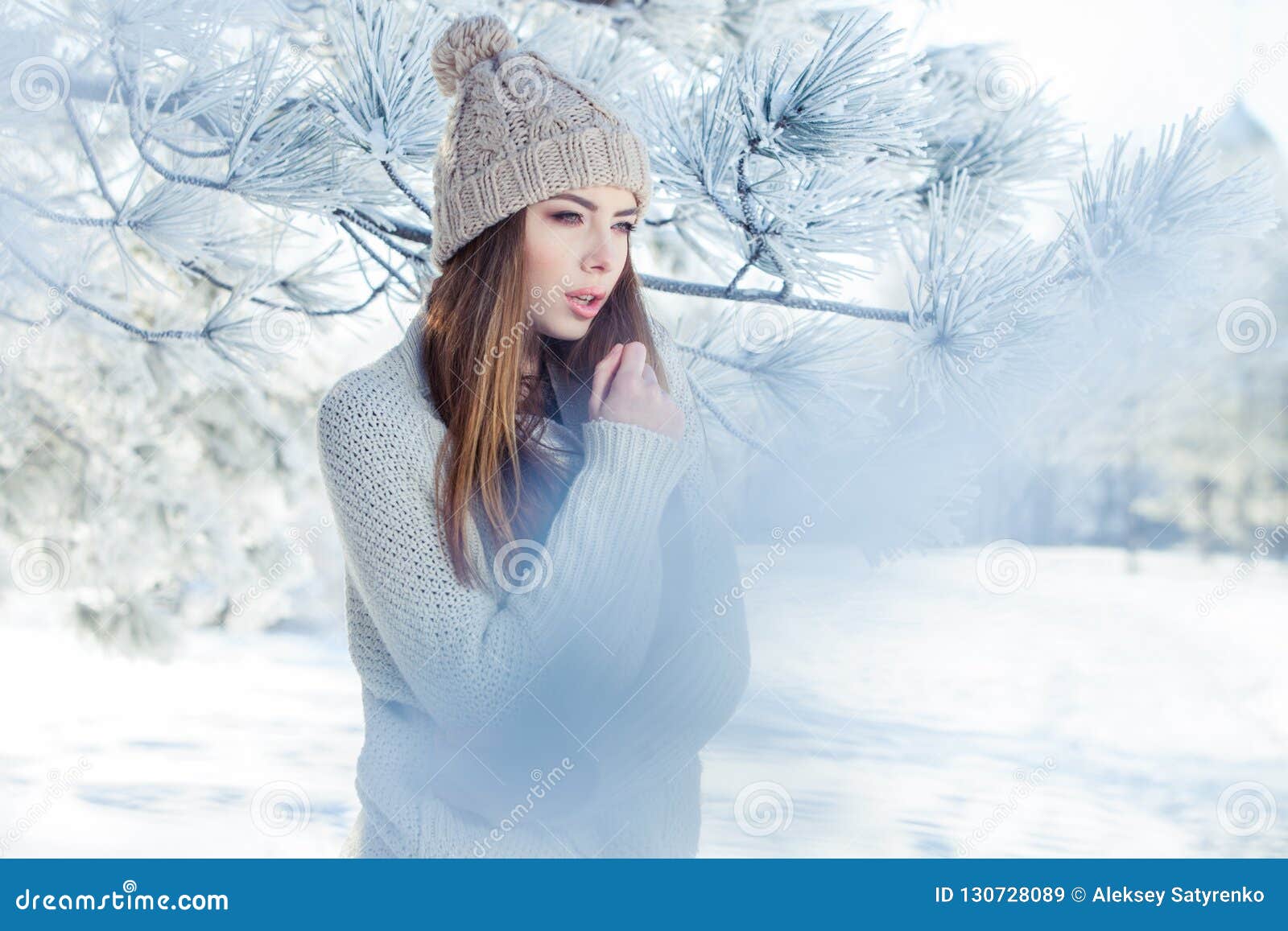 Beautiful Winter Portrait of Young Woman in the Snowy Scenery Stock ...