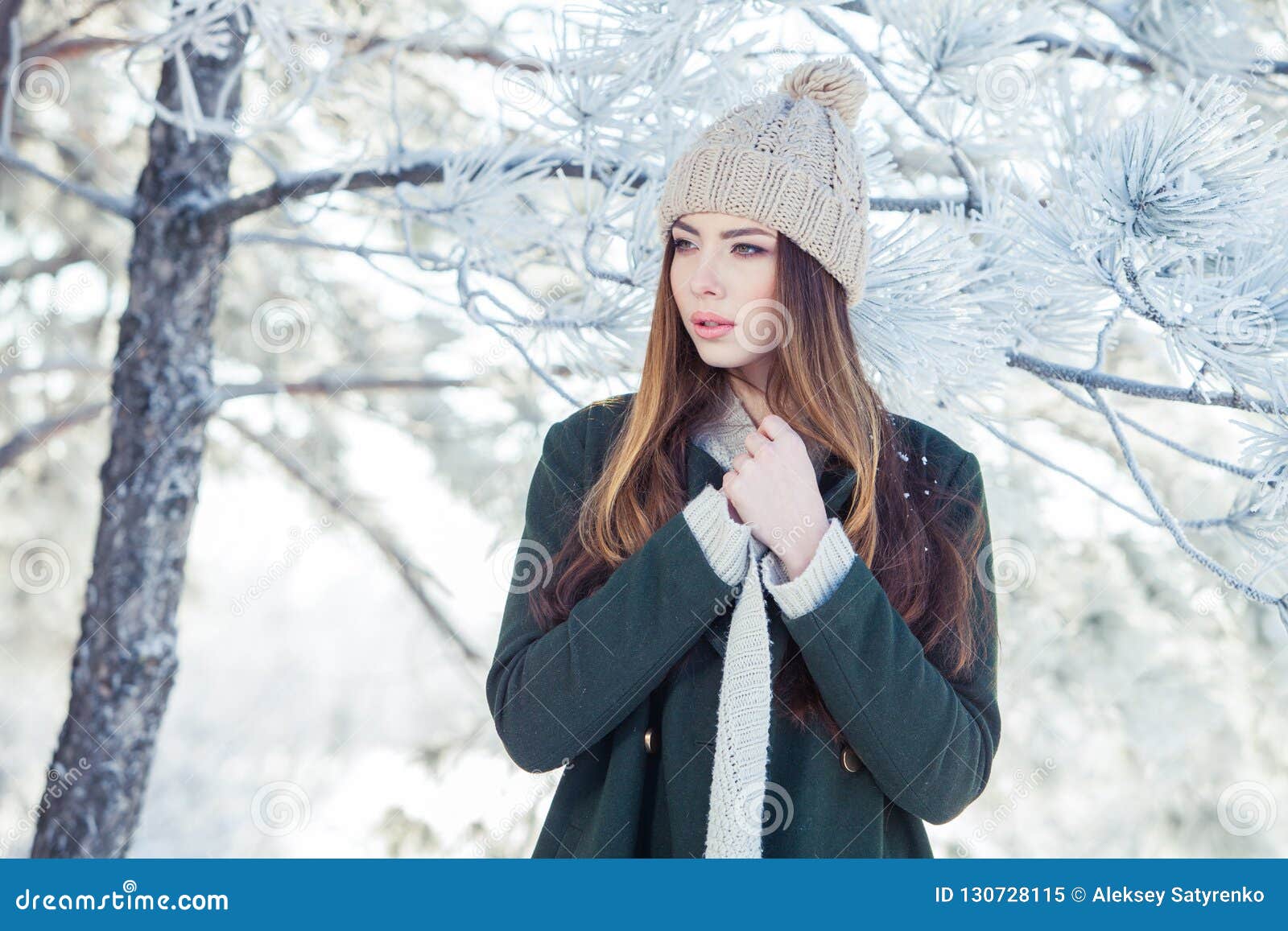 Beautiful Winter Portrait of Young Woman in the Snowy Scenery Stock ...