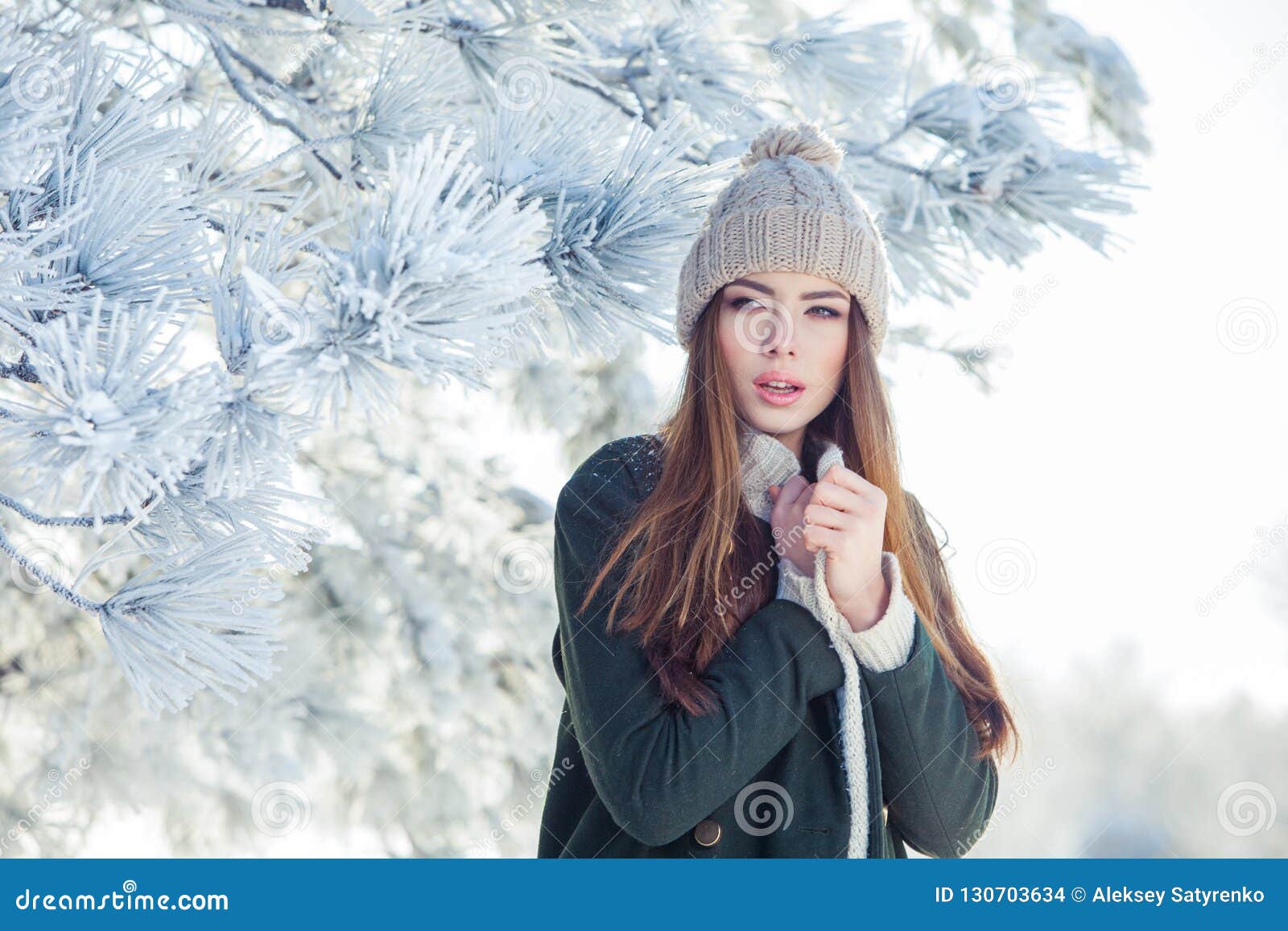 Beautiful Winter Portrait of Young Woman in the Snowy Scenery Stock ...