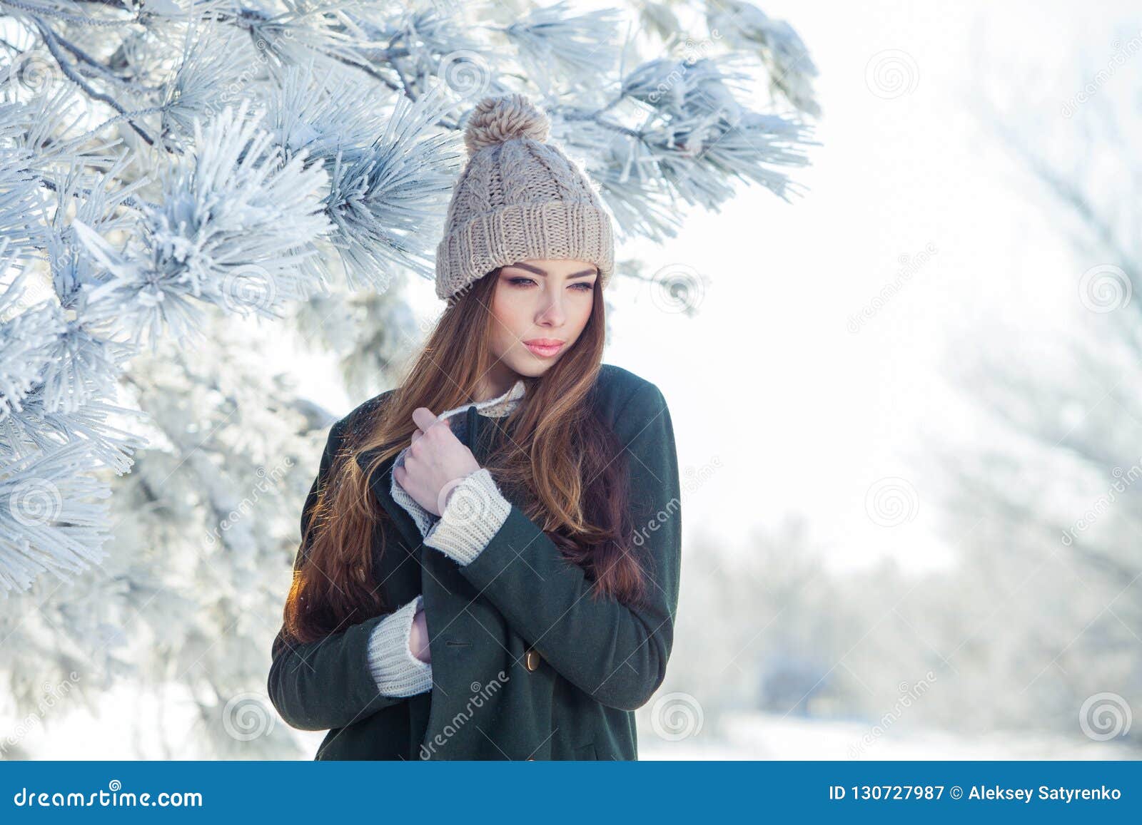 Beautiful Winter Portrait of Young Woman in the Snowy Scenery Stock ...