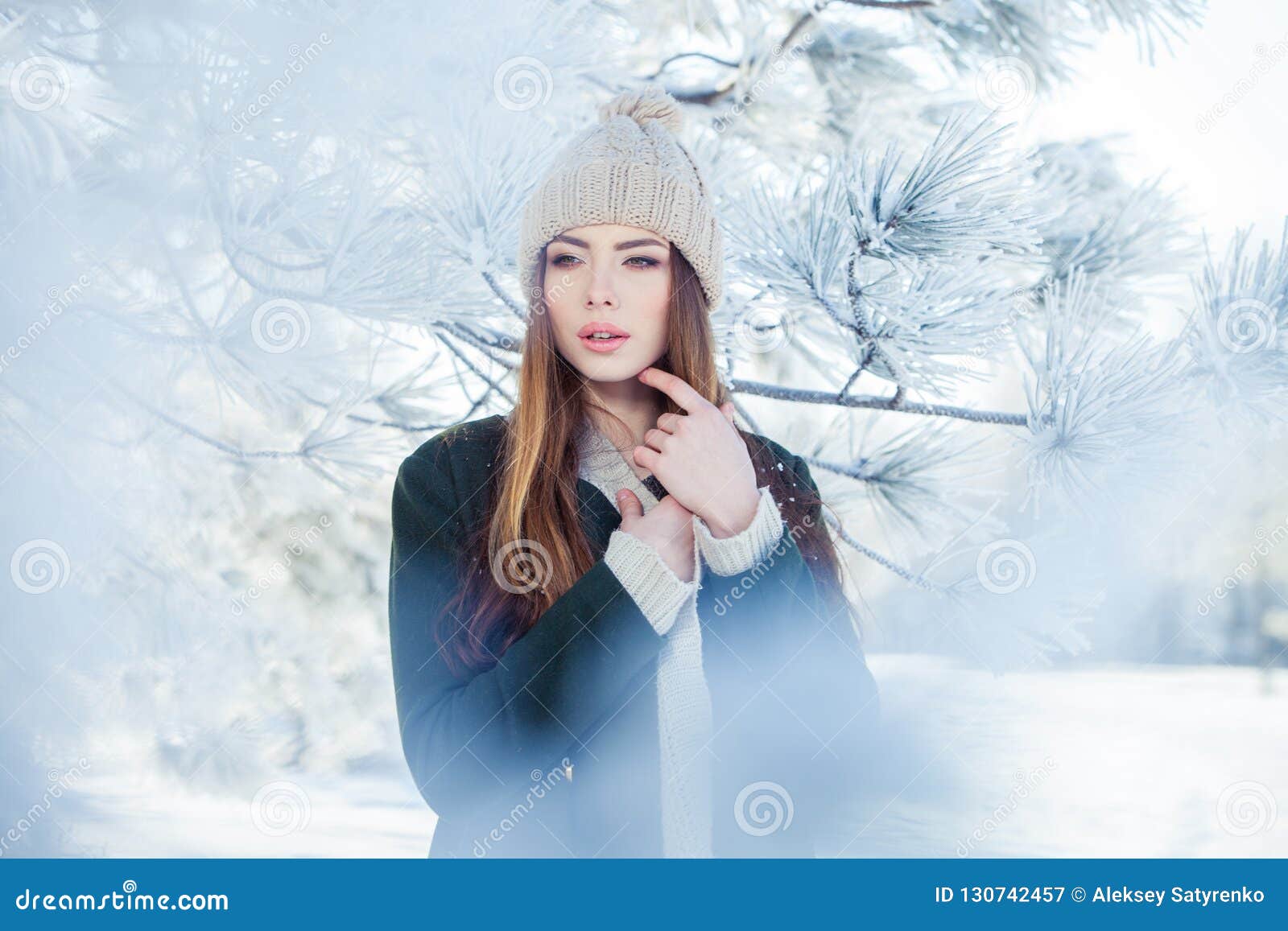 Beautiful Winter Portrait of Young Woman in the Snowy Scenery Stock ...