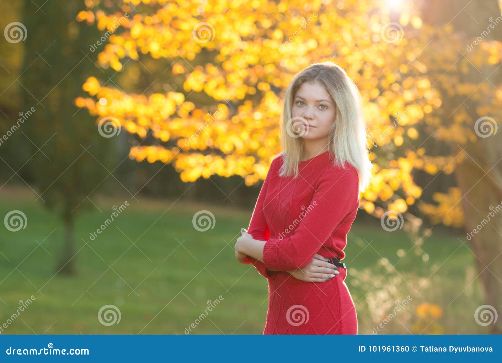 Beautiful Woman with Autumn Leaves on Fall Nature Background Stock ...