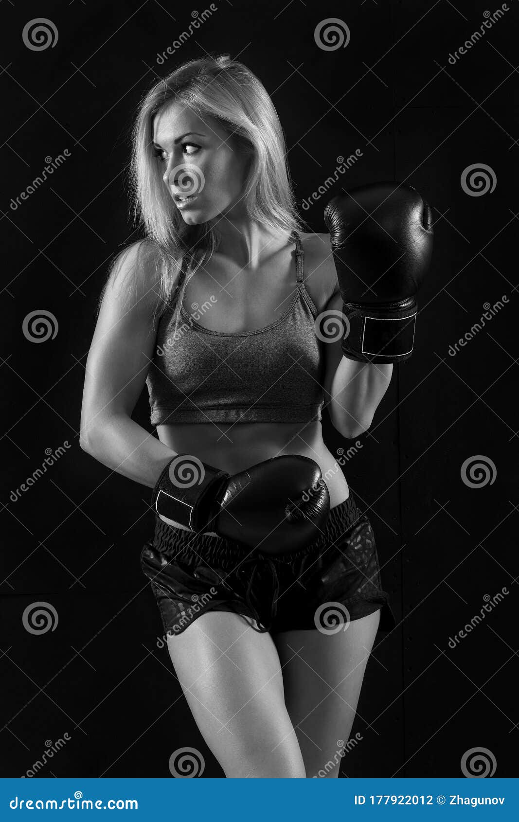 Beautiful Woman with the Boxing Gloves Stock Photo Image of boxer
