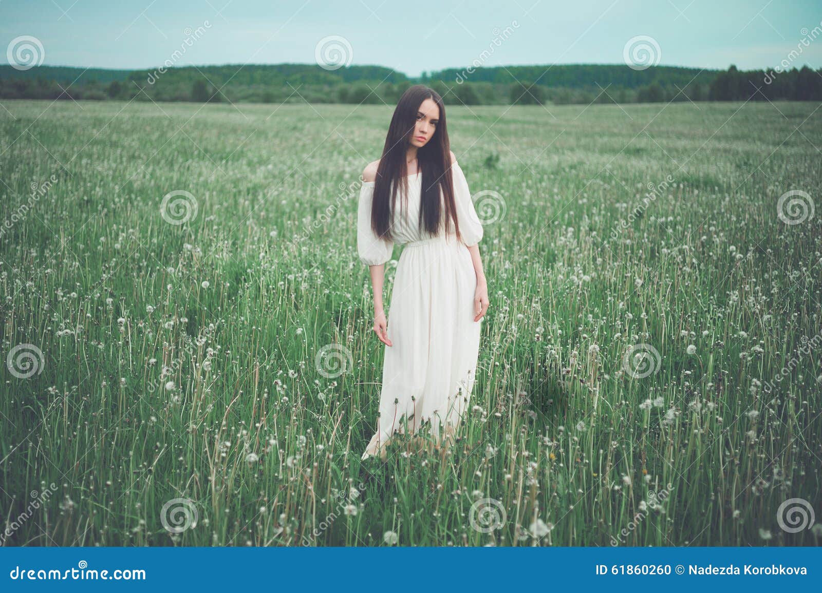 Beautiful Woman In Field Stock Photo - Image: 61860260