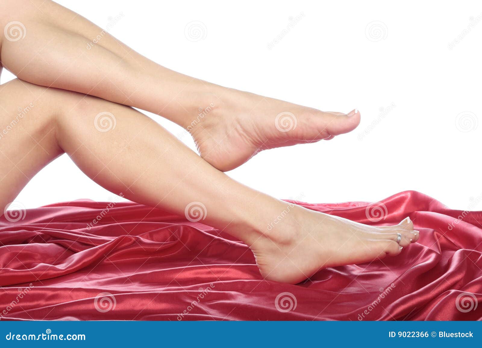 Beautiful Woman Legs and Feet Stock Photo Image of relaxation, feet