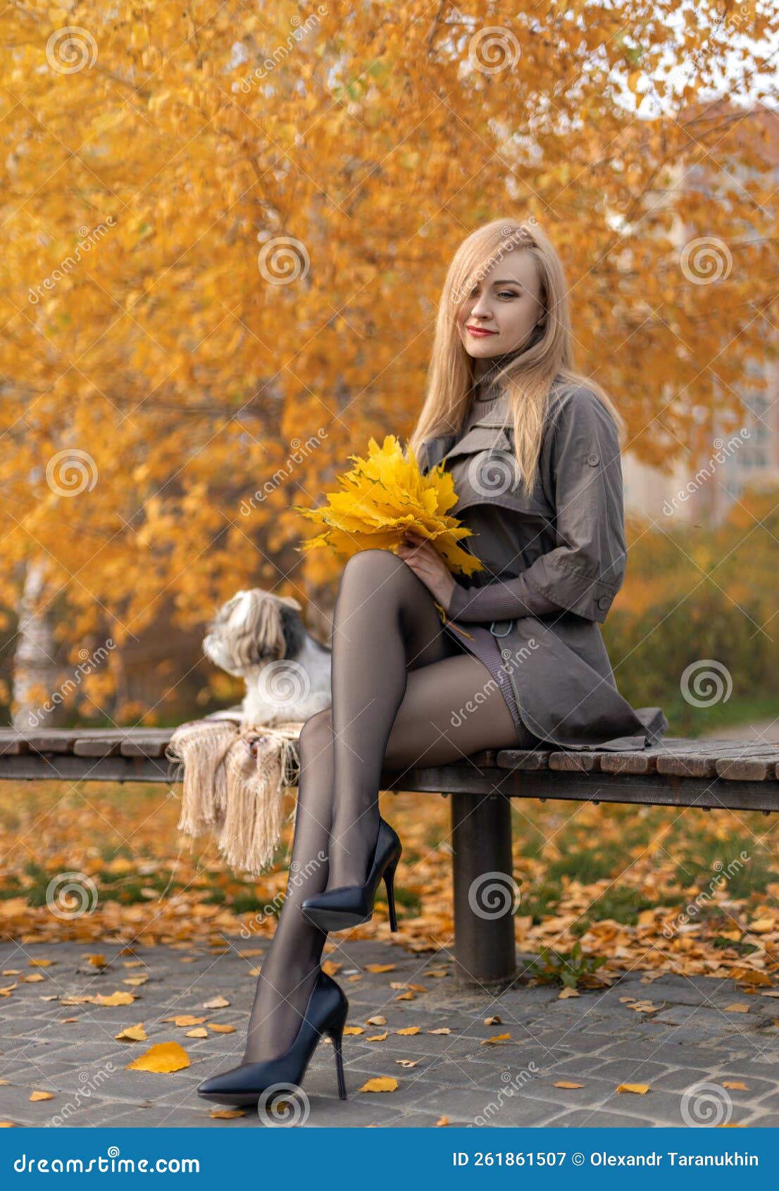 beautiful woman with perfect legs sitting in the autumn park with a cute shih-tzu dog