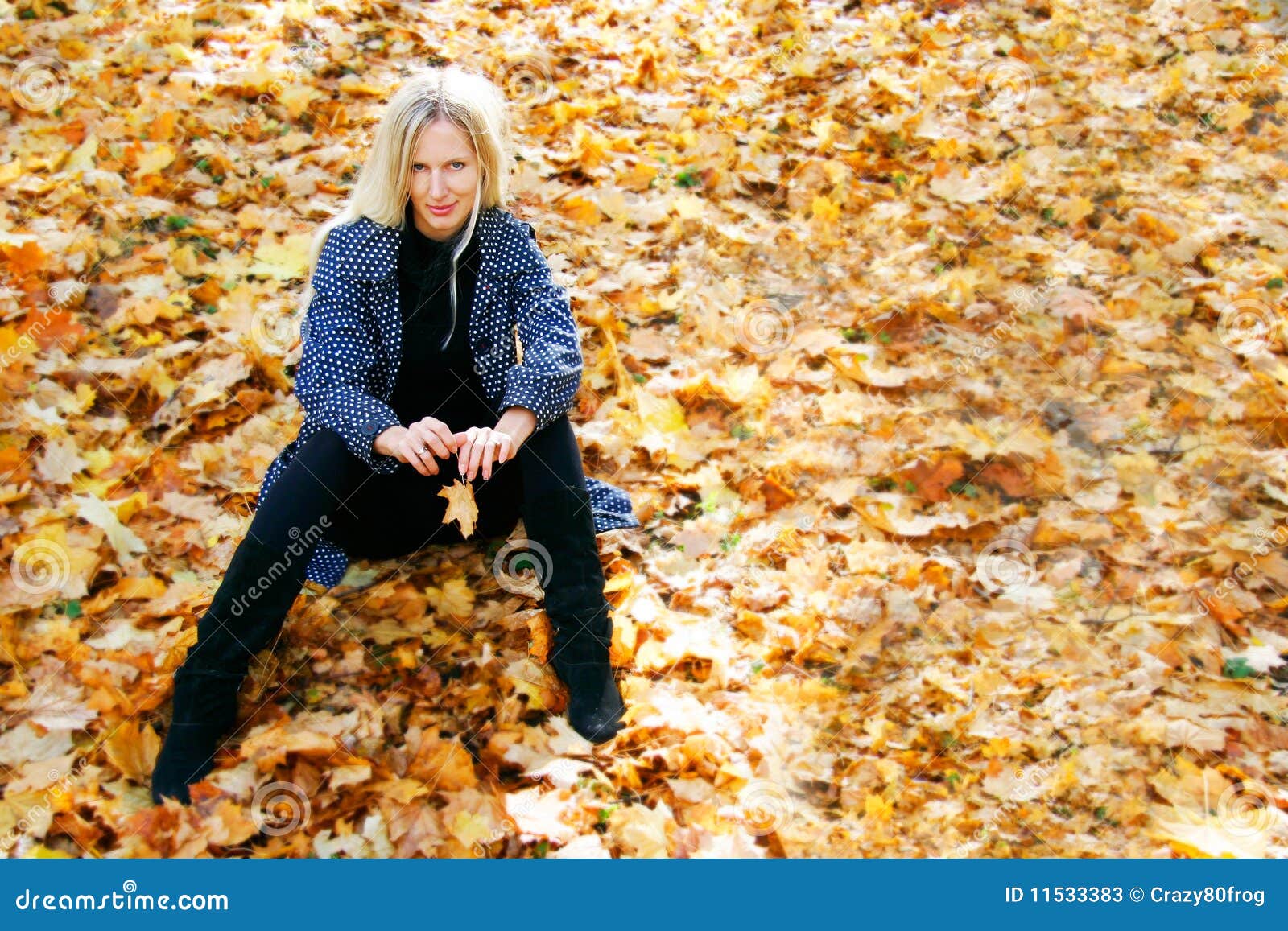 Beautiful Woman Sitting on Autumn Leaves Stock Image - Image of natural ...