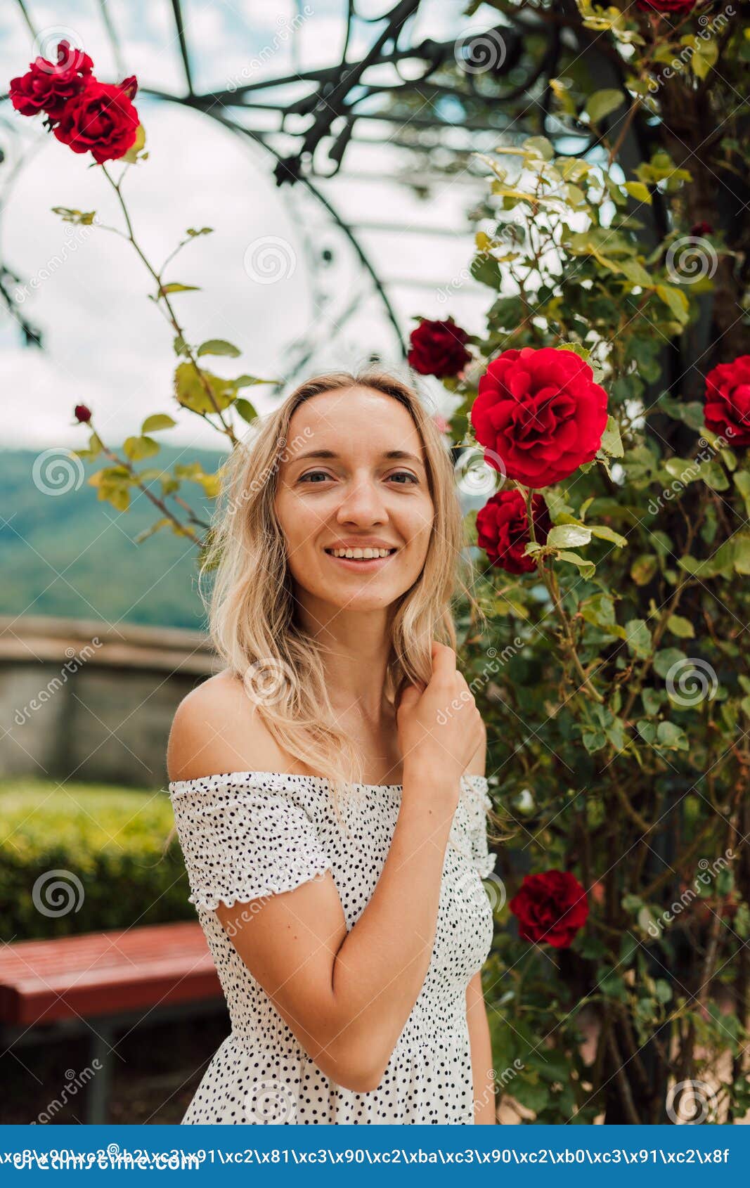 A Beautiful Woman Stands Near A Bush Of Red Roses And Smiles Stock