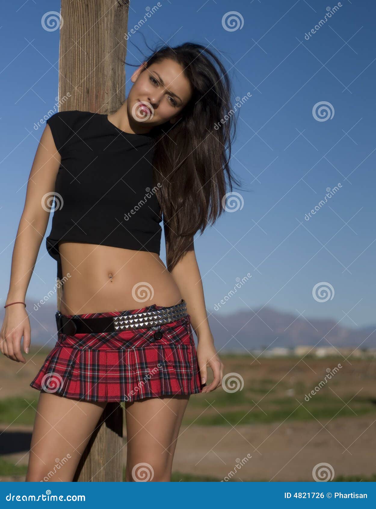 15,800+ Plaid Skirt Stock Photos, Pictures & Royalty-Free Images - iStock