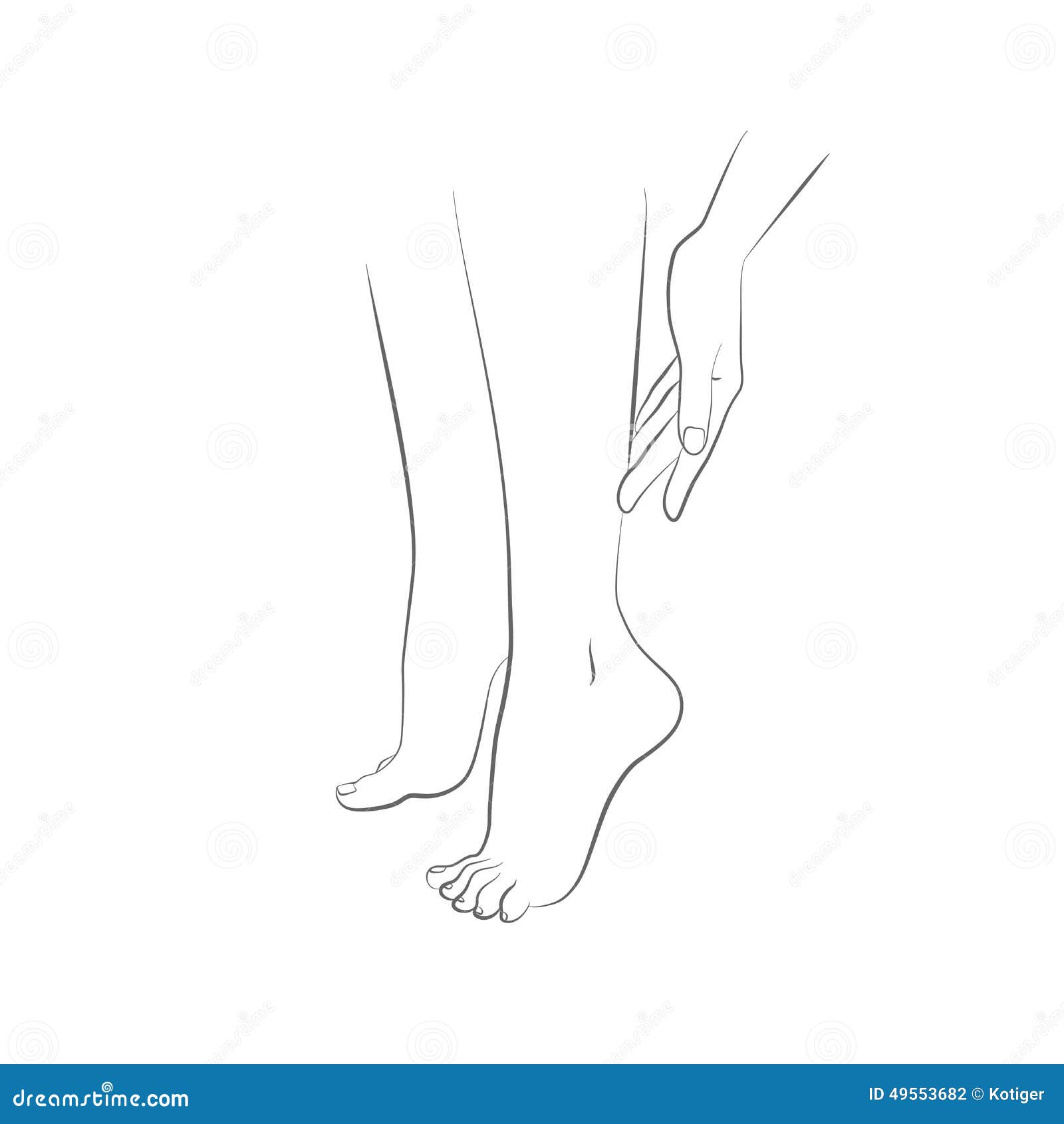 Beautiful Womans Female Legs and Hand Vector Stock Vector