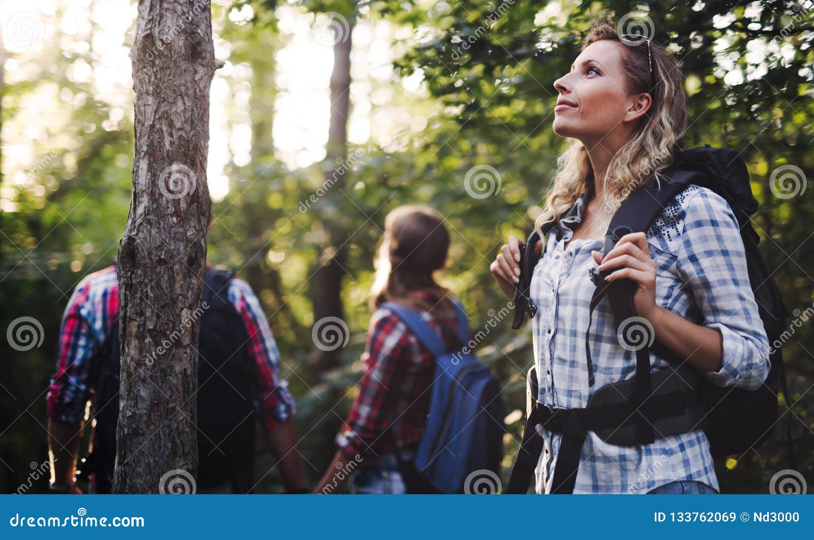 Beautiful Woman And Friends Hiking In Forest Stock Image Image Of