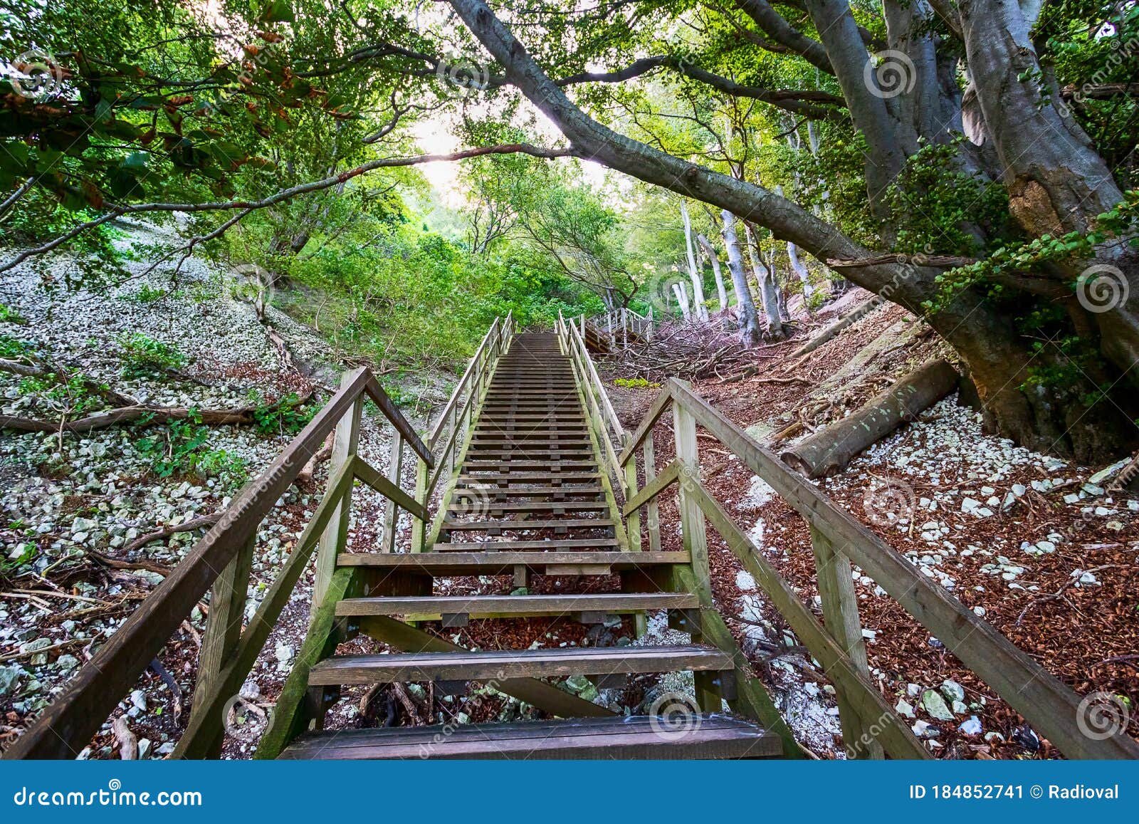 beautiful wooden staircase in a mountain forest. mons clint. denmark.travels