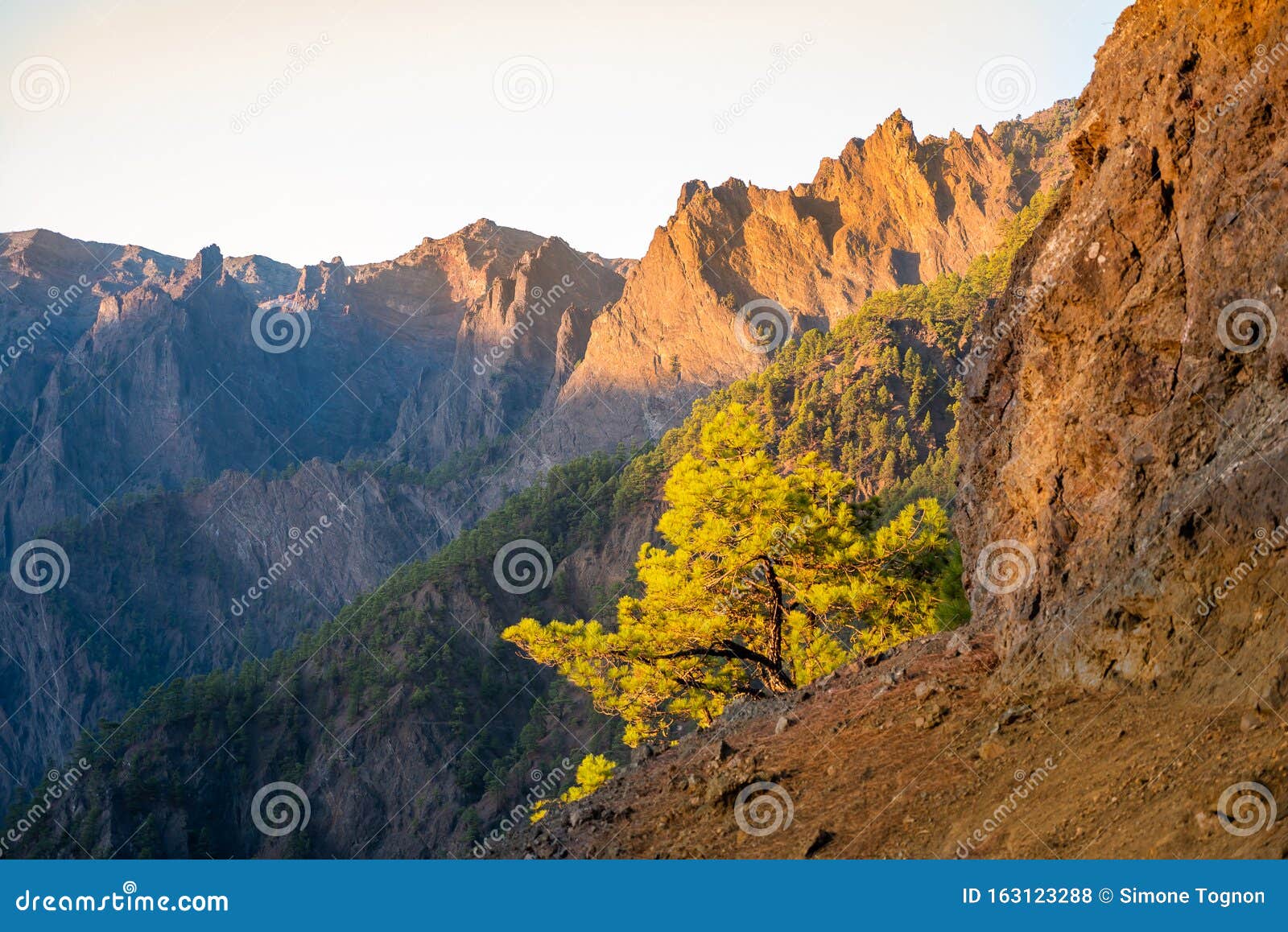 the woods cumbrecita mountains in the caldera de taburiente national park