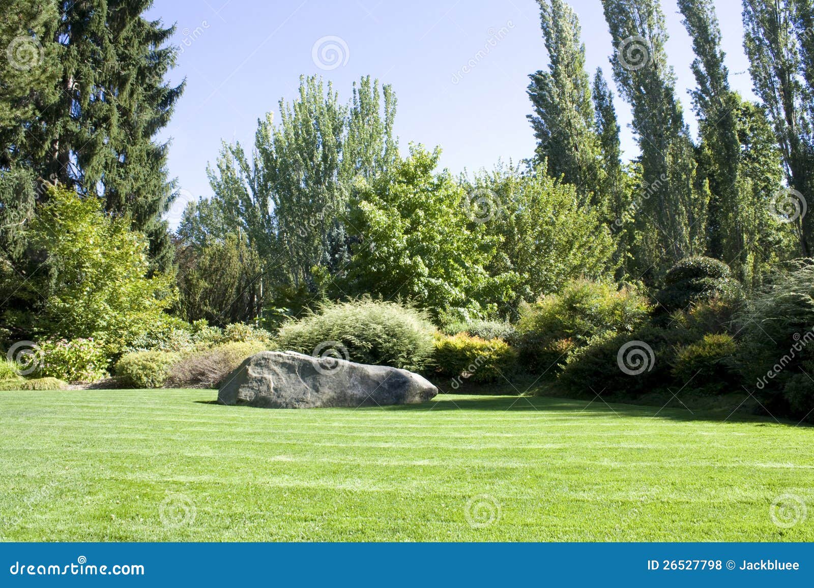 beautiful yard with lush greenery