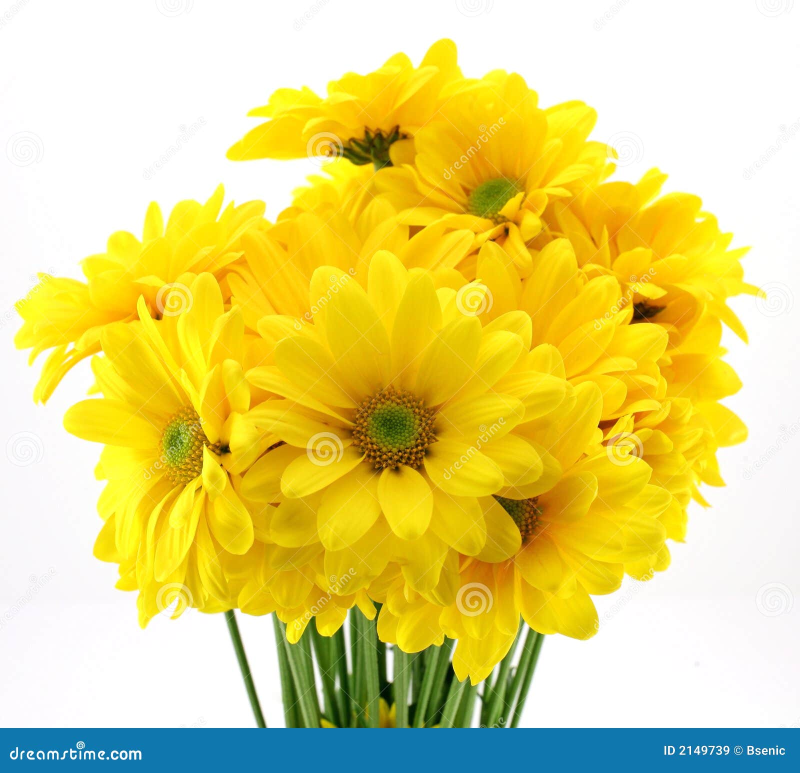 Incredible Collection of 999+ Full 4K Images of Yellow Flowers