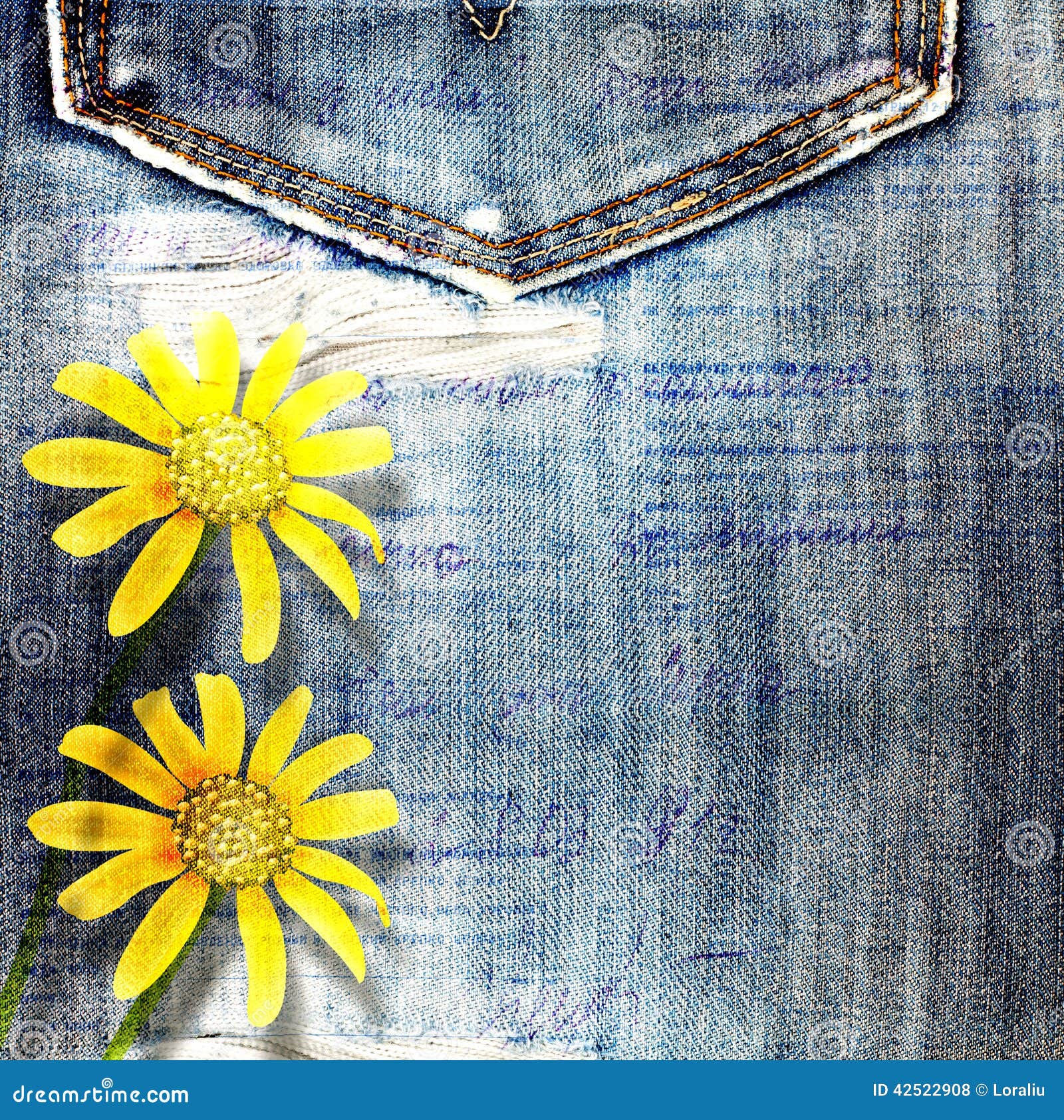 Beautiful Yellow Flowers on Blue Background Jeans Stock Photo - Image ...
