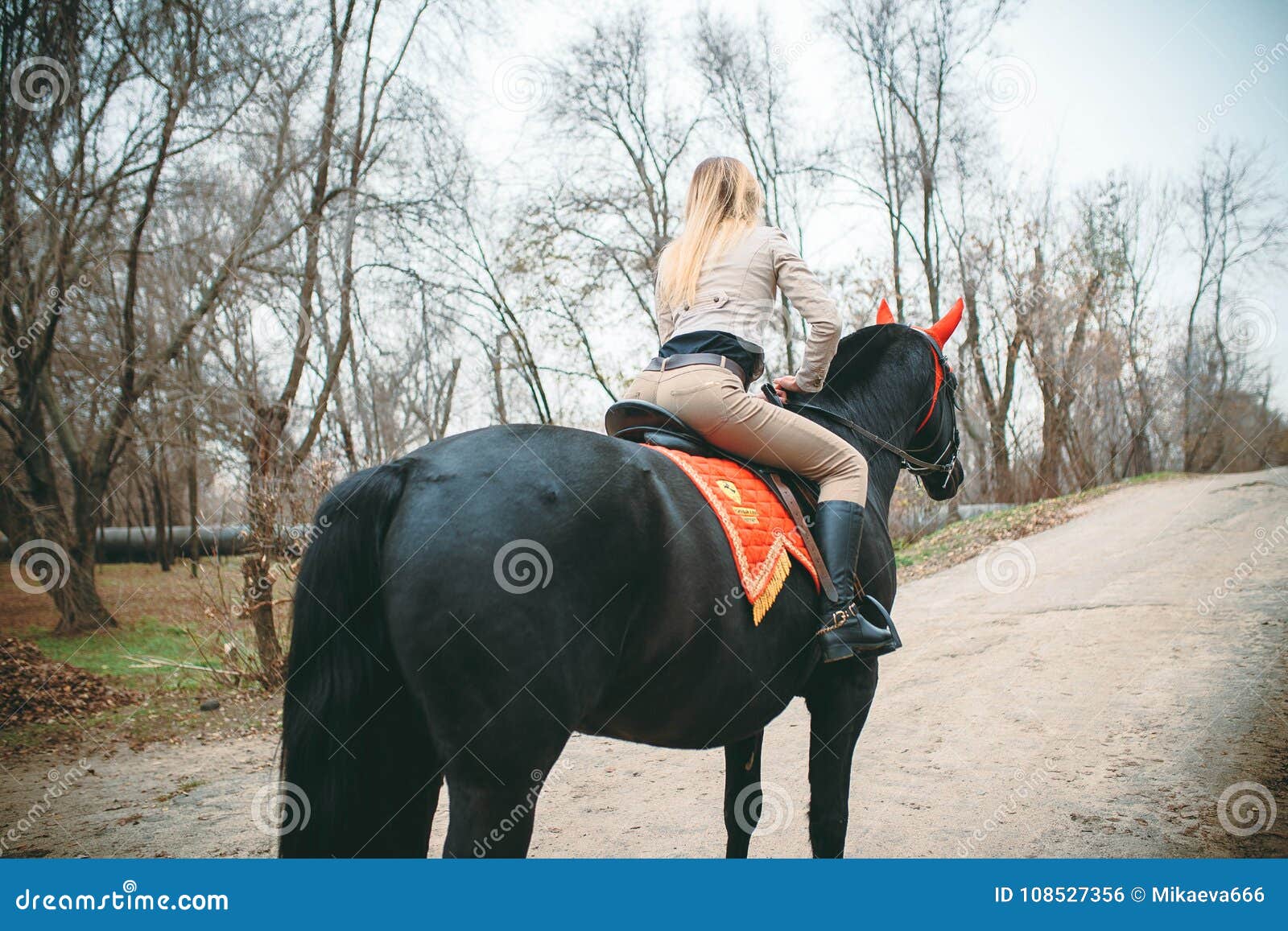 Beautiful Young Blonde Woman Riding A Horse Stock Photo Image Of