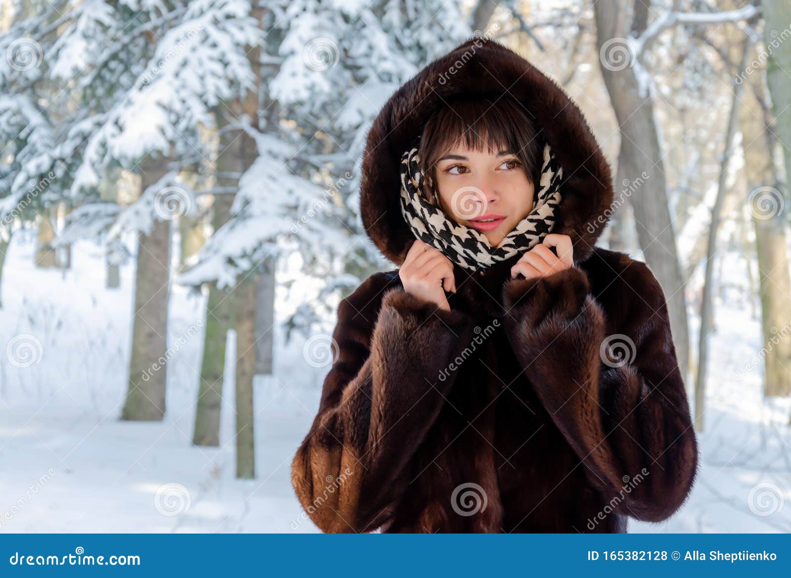 Beautiful Young Brunette in a Brown Fur Coat, in the Park on a Frosty ...