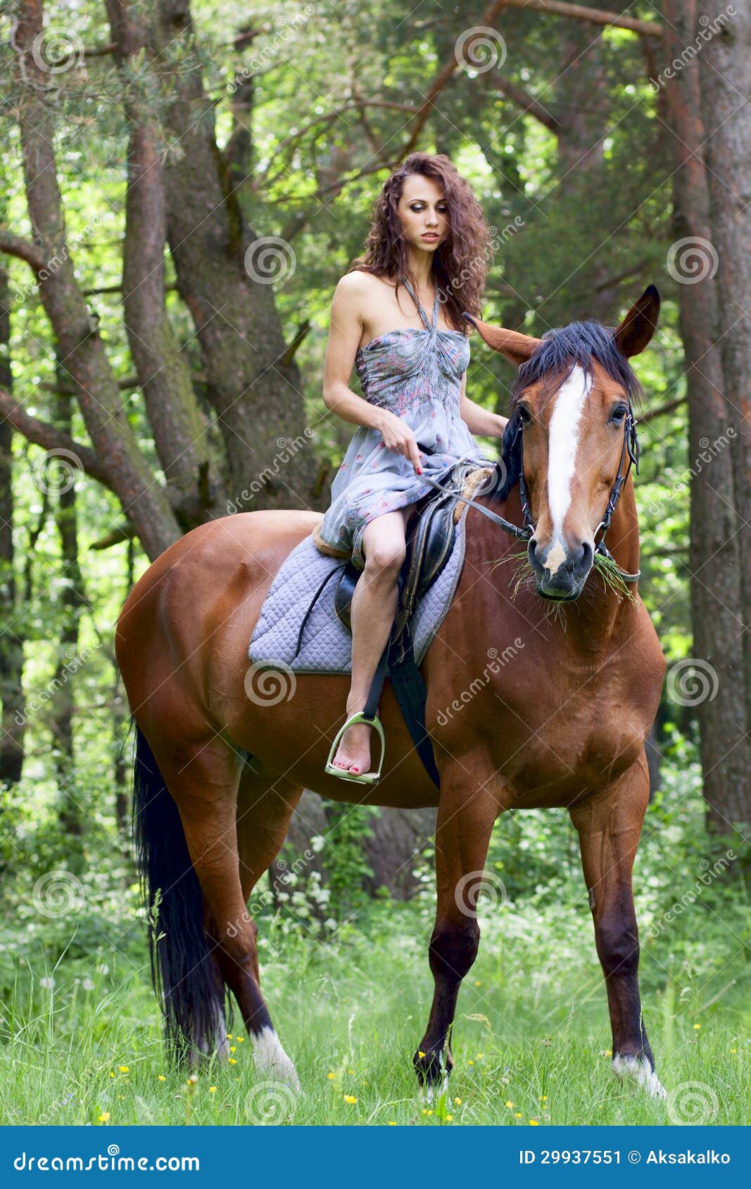 https://thumbs.dreamstime.com/z/beautiful-young-girl-horse-dress-forest-29937551.jpg