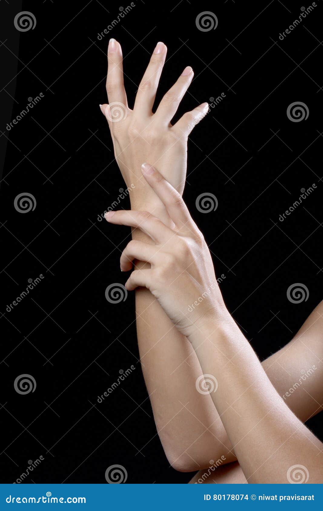 Beautiful Hand Young Stock Photo 66545296