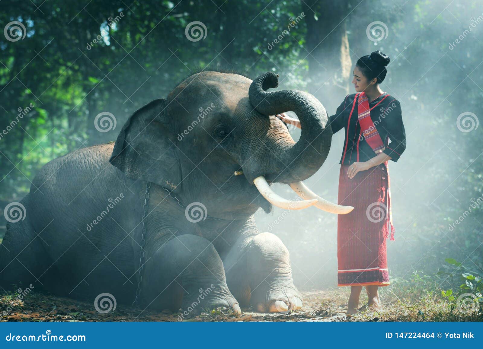 beautiful young thai woman northeast style is enjoy dancing and playing with elephant in the jungle