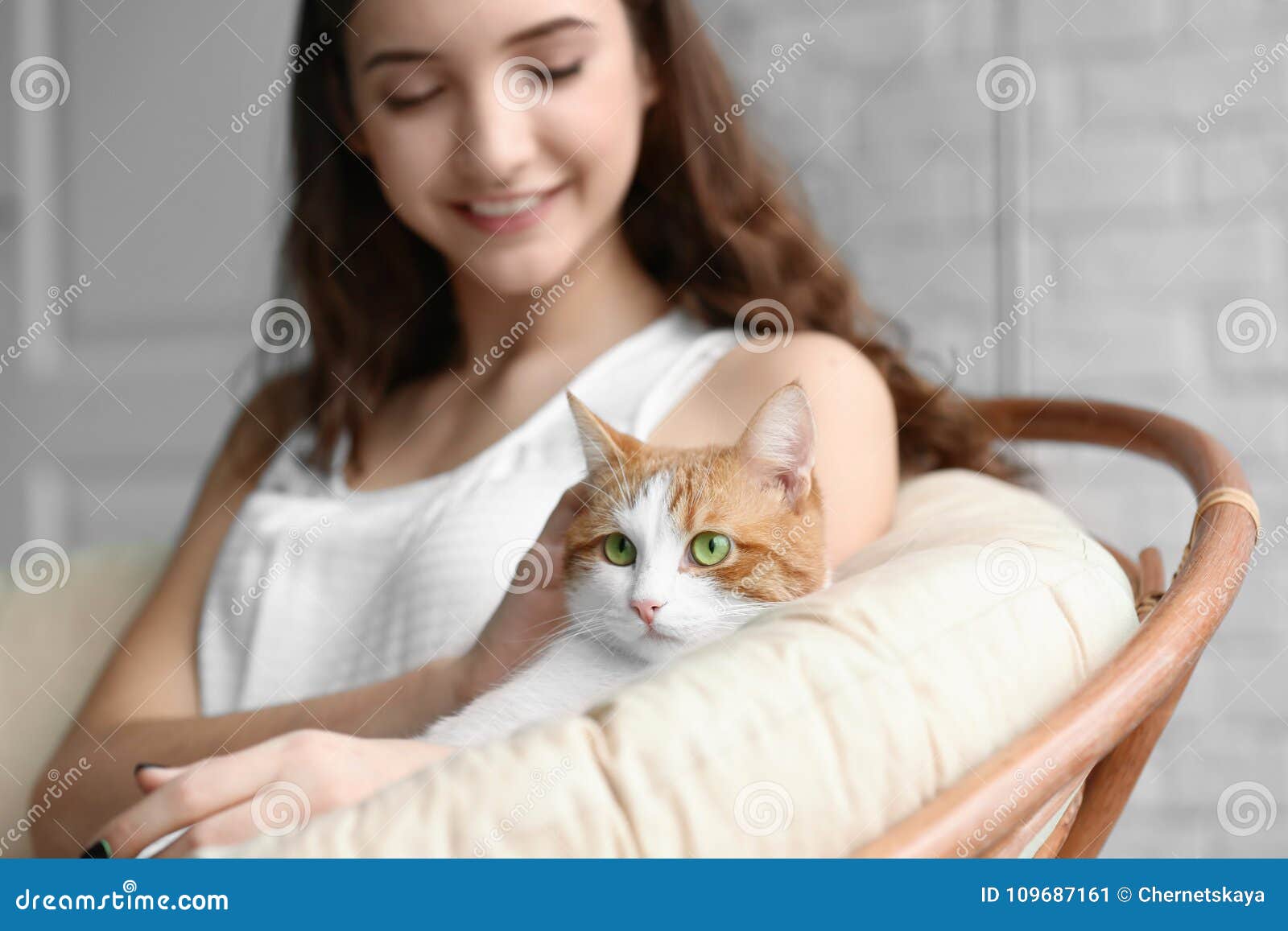 Beautiful Young Woman with Cute Cat in Armchair Stock Image - Image of ...