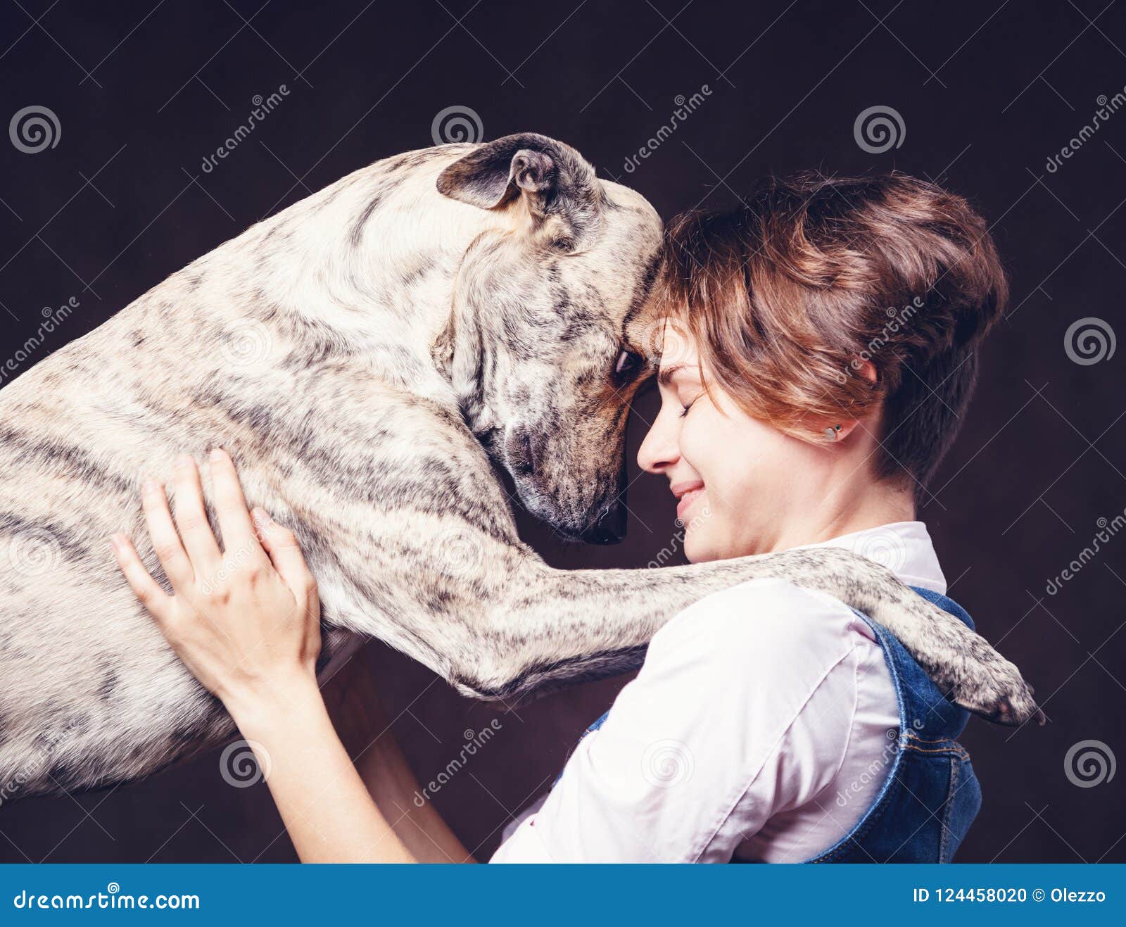 431,391 Animal Love Stock Photos - Free & Royalty-Free Stock Photos from  Dreamstime