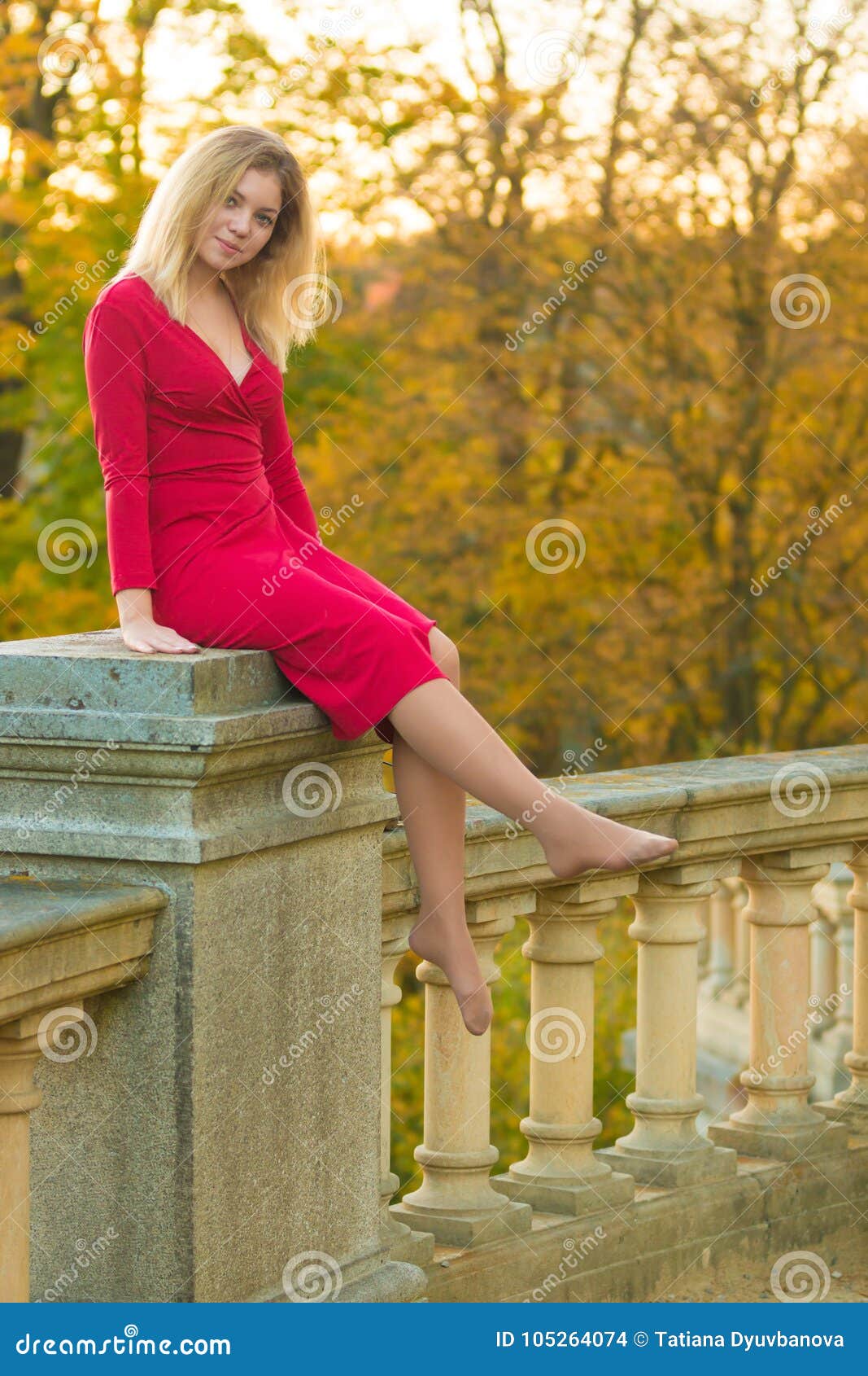 Fall Nature Dress Fall Nature Dress