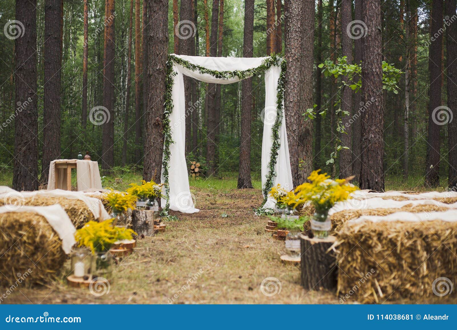 place in old autumn wood for wedding ceremony