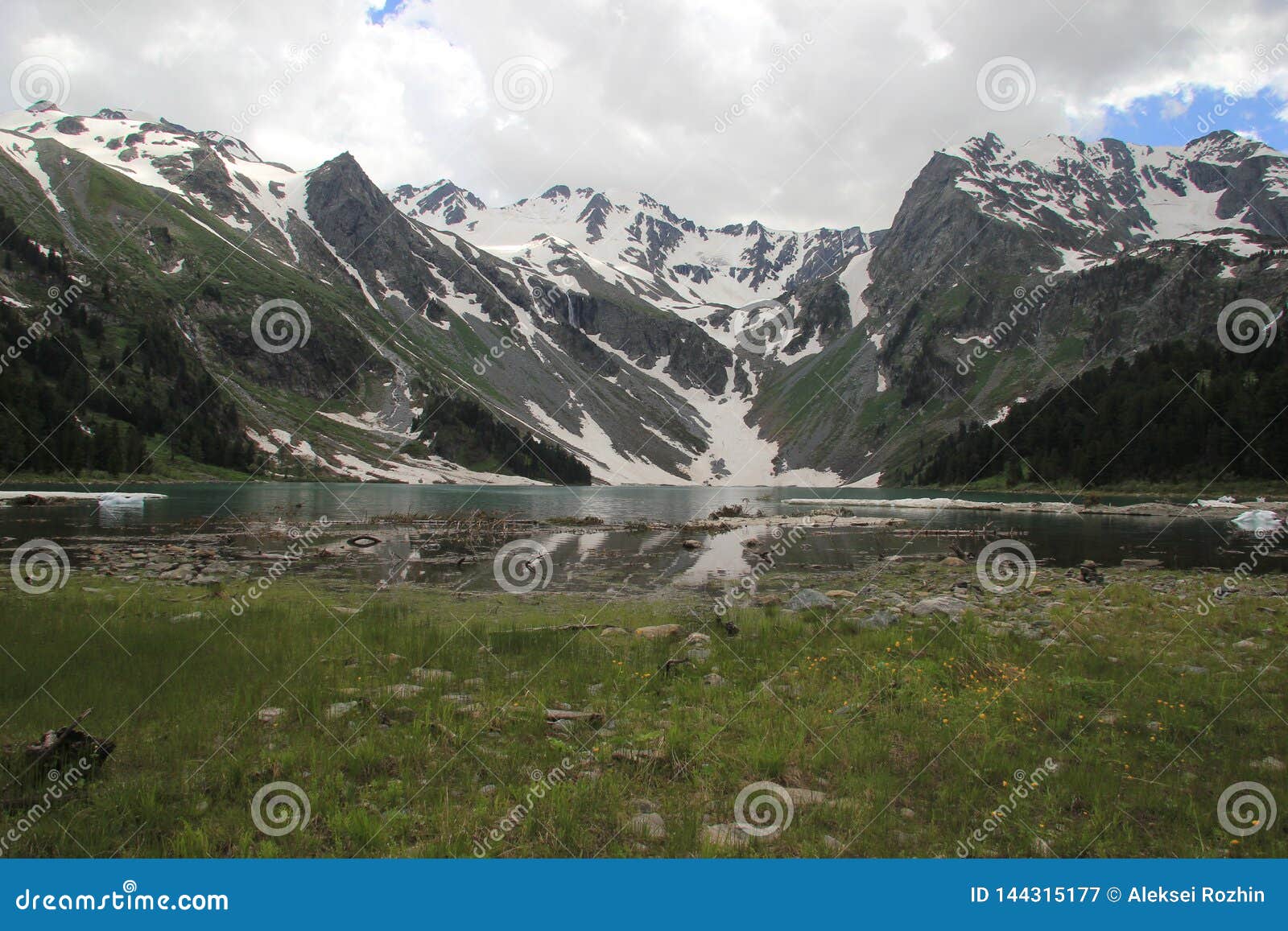 The Beauty of the Altai Mountains in Summer in Good Weather Stock Image ...