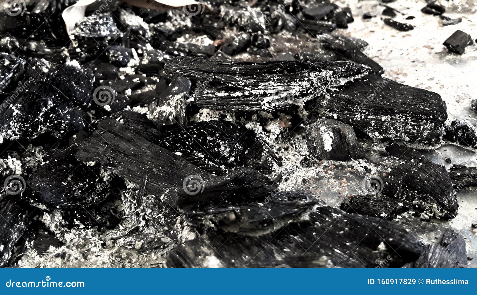 Beauty among the ashes stock image. Image of inspirationnmanaus - 160917829