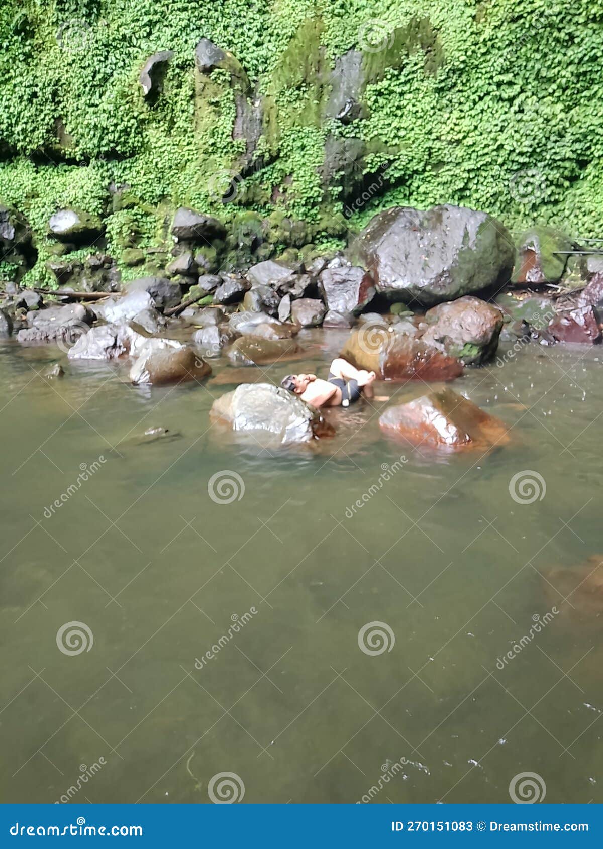 The Beauty and Availability of River Water and Green Nature Stock Image