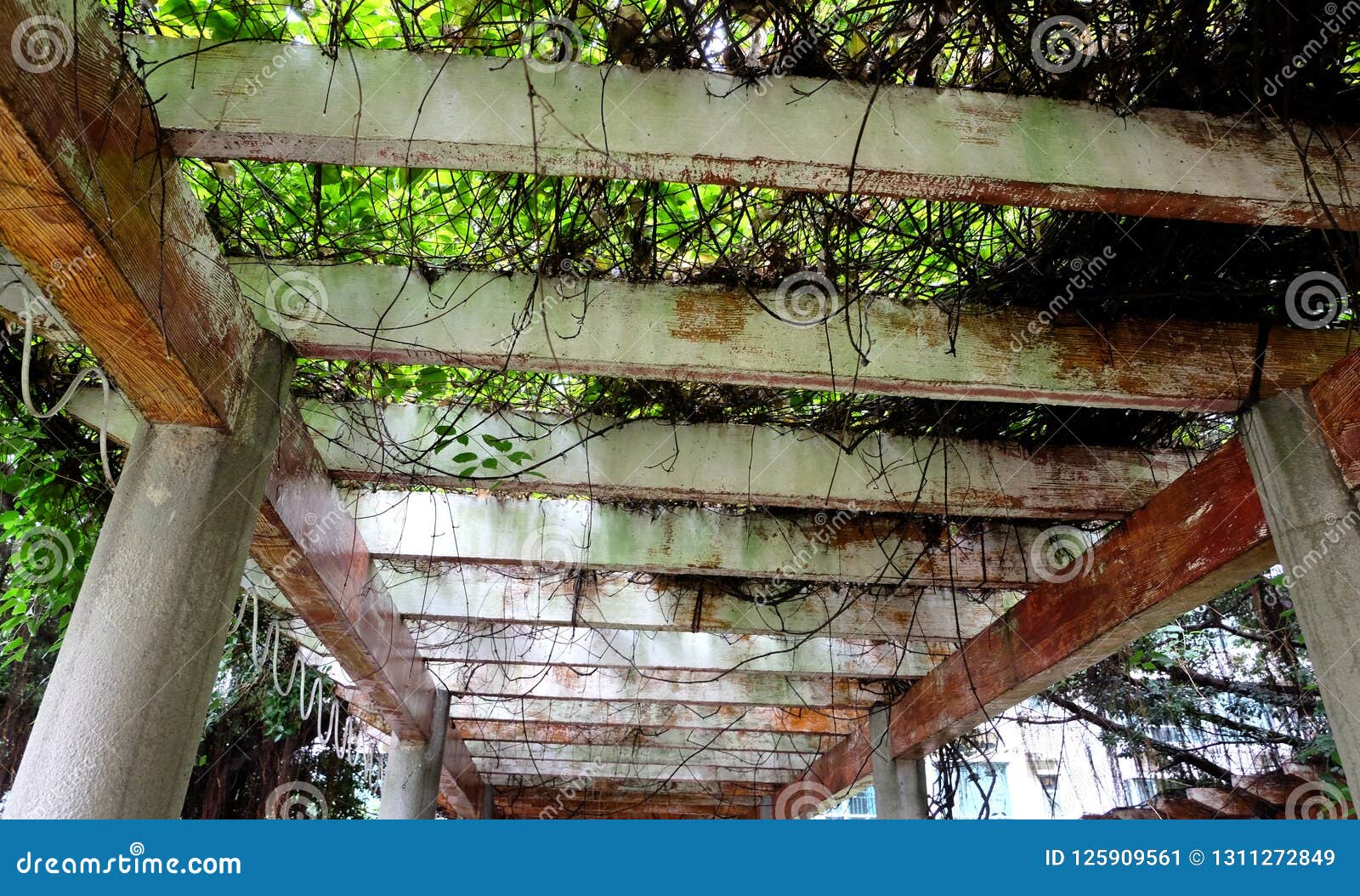 The Beauty Of Ceiling Structure Stock Image Image Of Grid